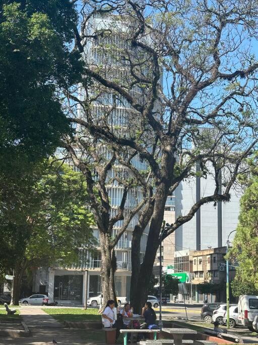 Pura Vida - Plaza Alberdi