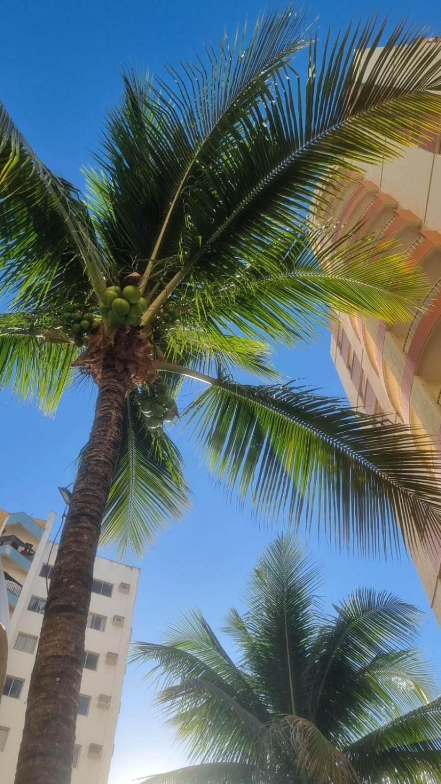 Aconchegante apartamento em Caldas