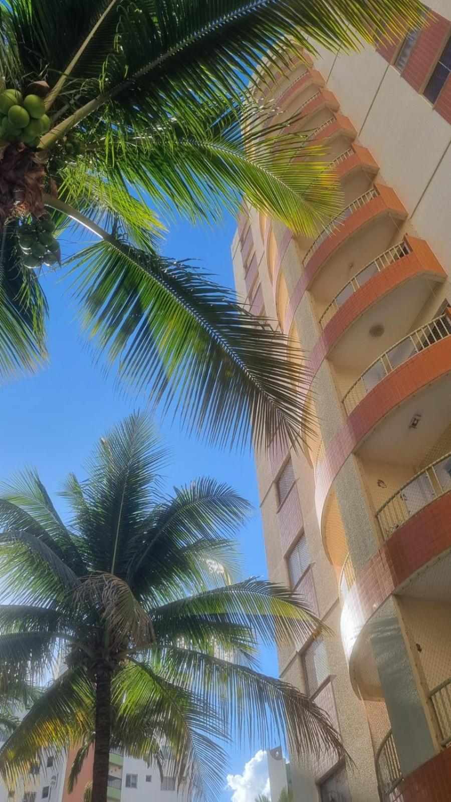 Aconchegante apartamento em Caldas