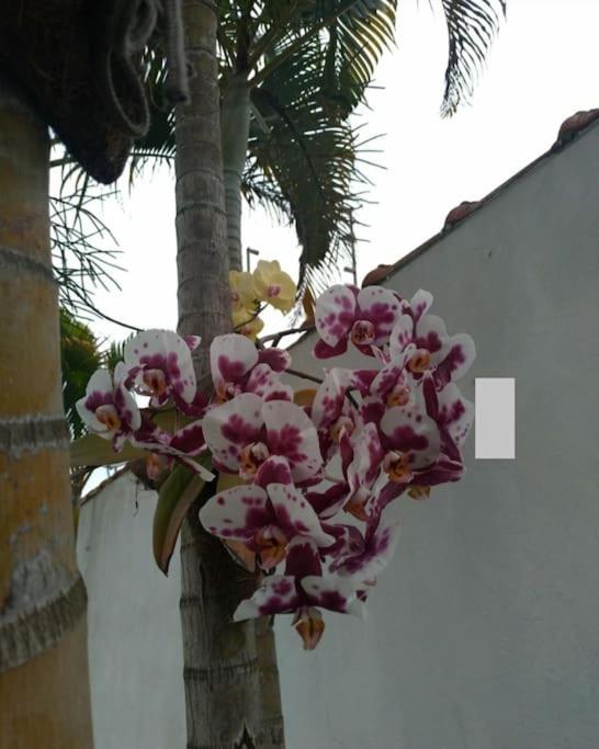 Casa aconchegante praia Martim de Sá