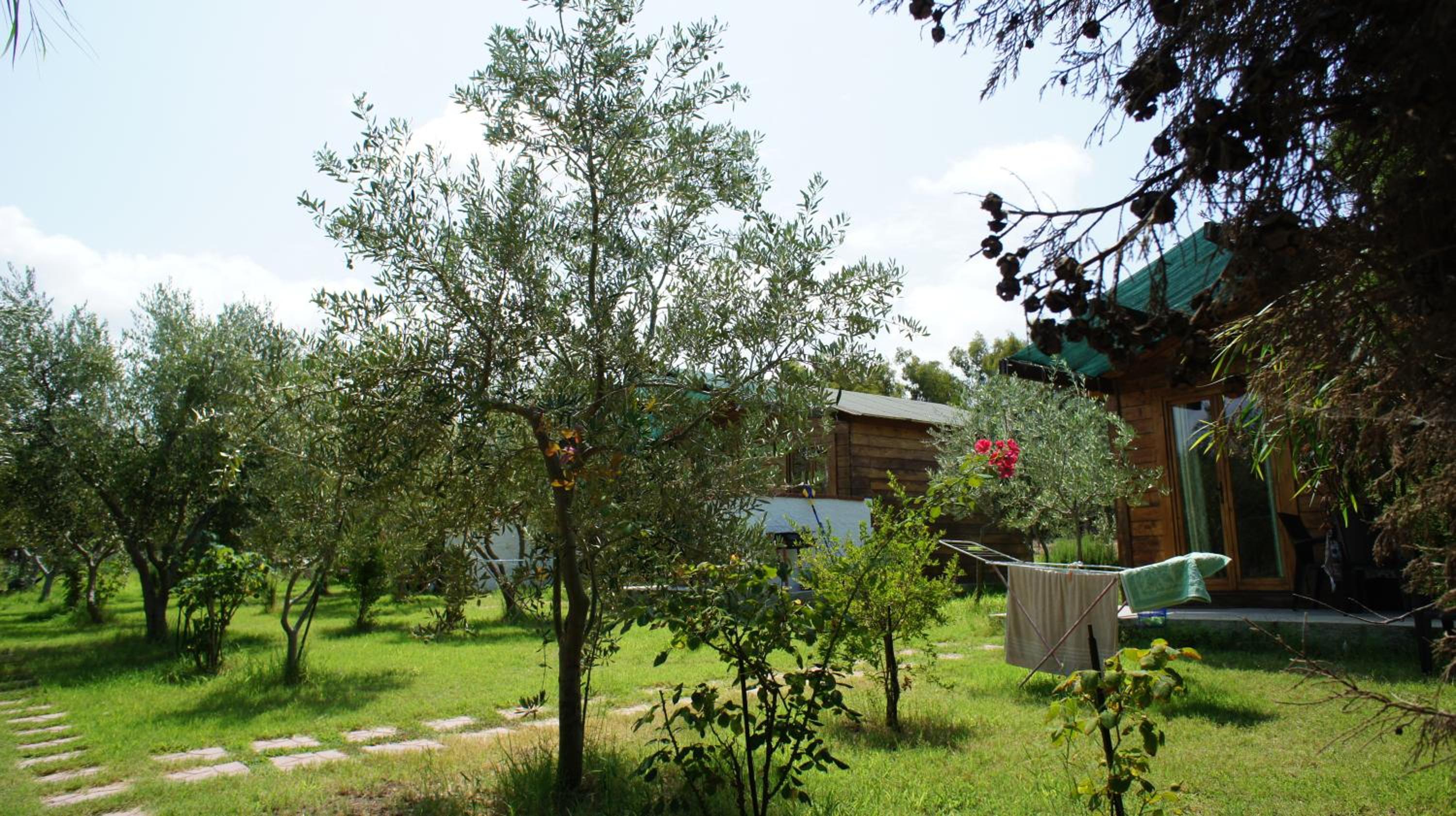 Photo 48