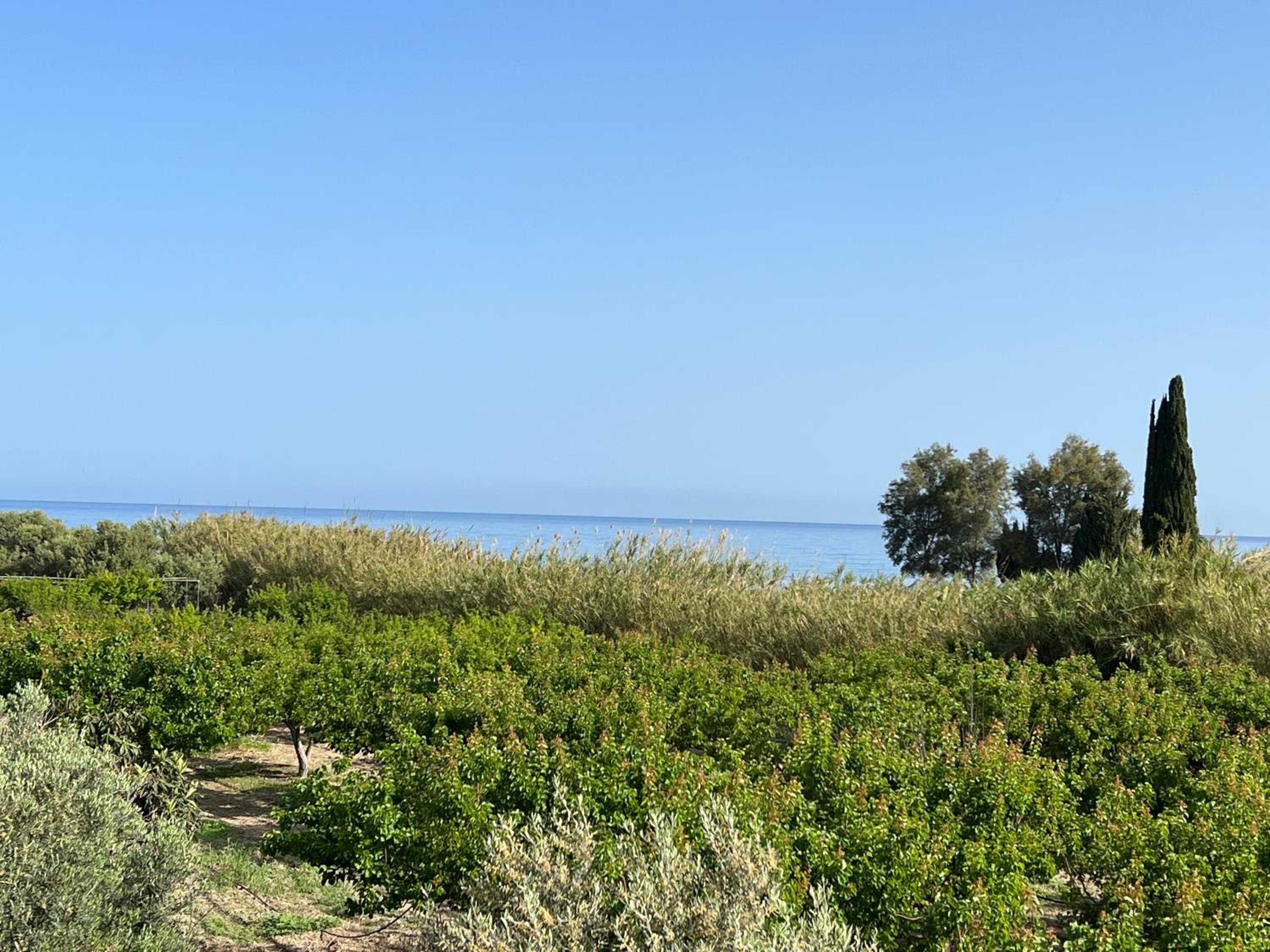 Jomavi Beach Eco-Villa