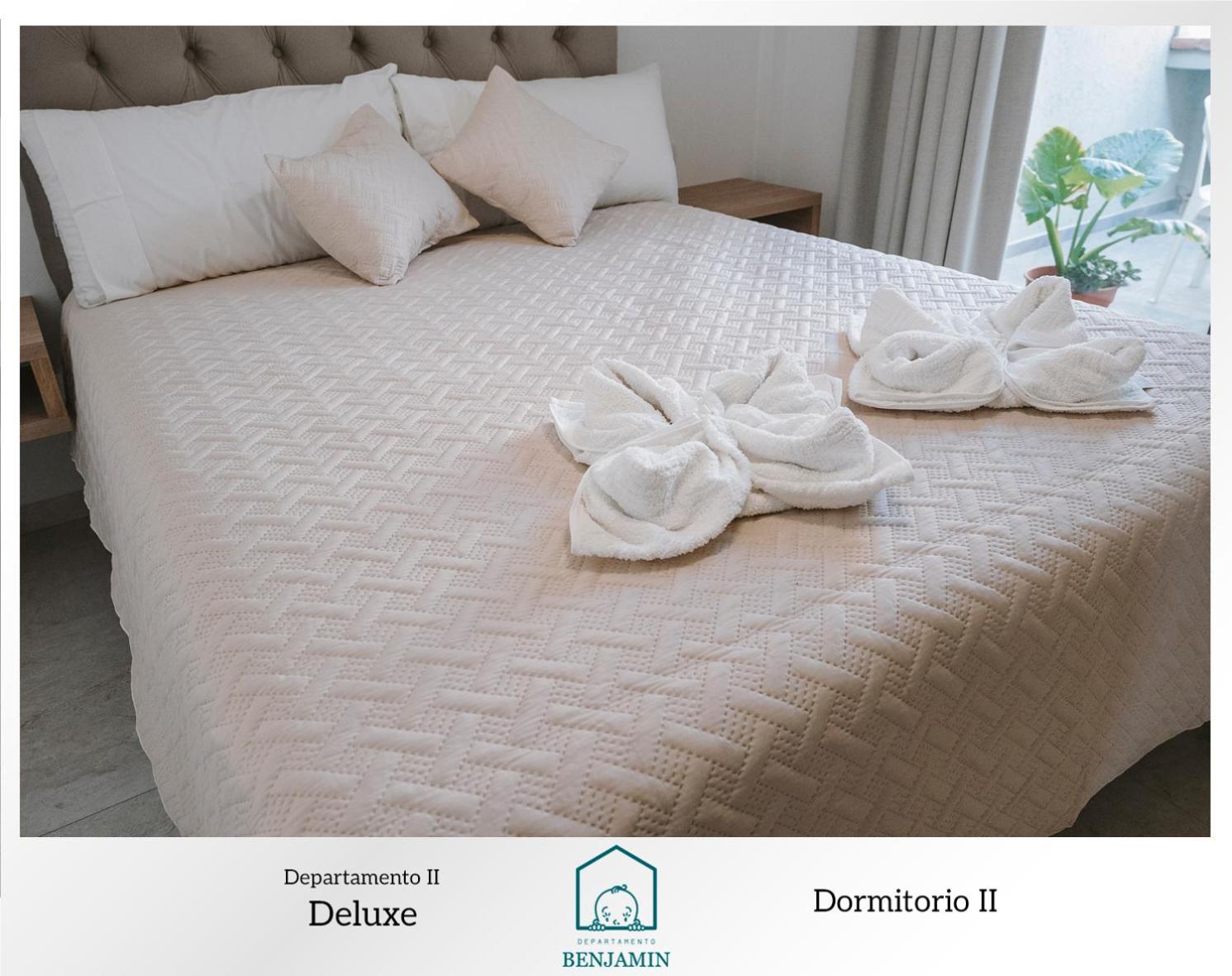 DEPARTAMENTO BENJAMIN