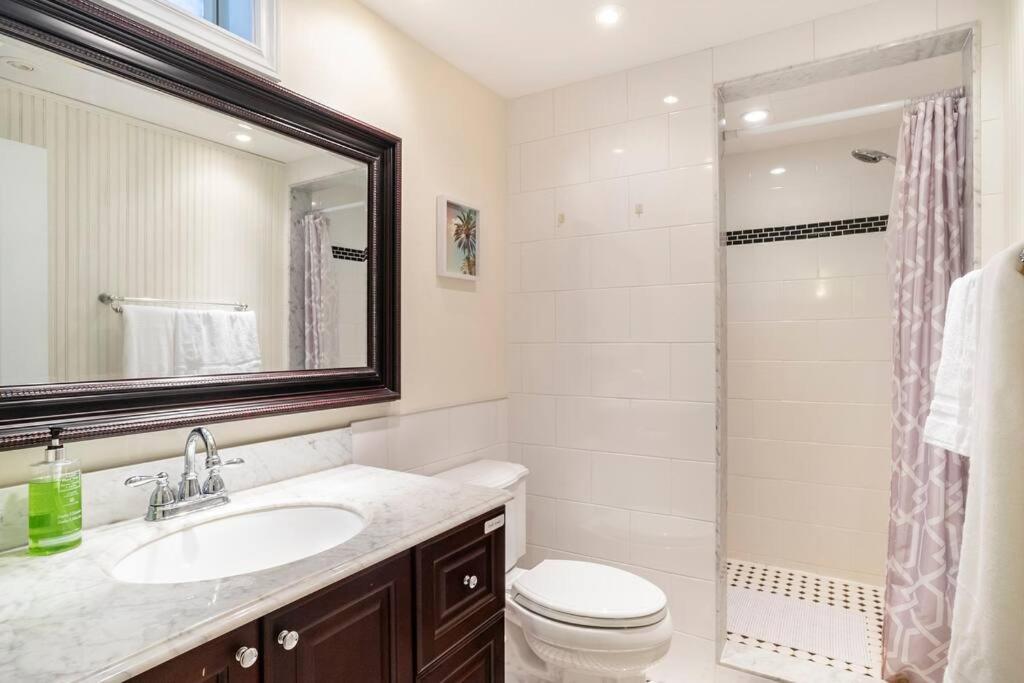 Cozy basement apartment in Newmarket