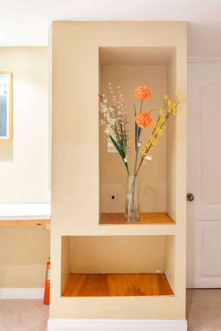 Cozy basement apartment in Newmarket