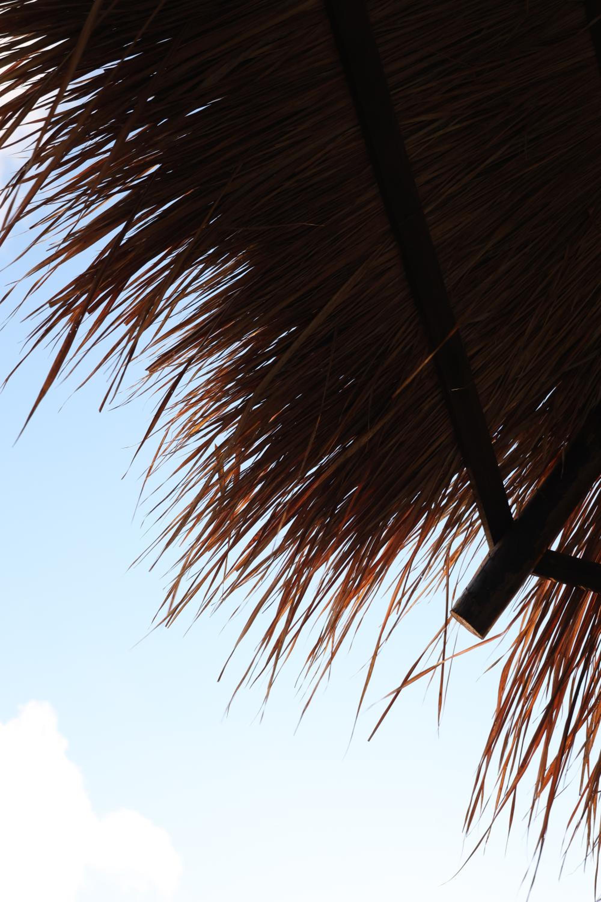Vida Villa Boutique com piscina & vista mar!