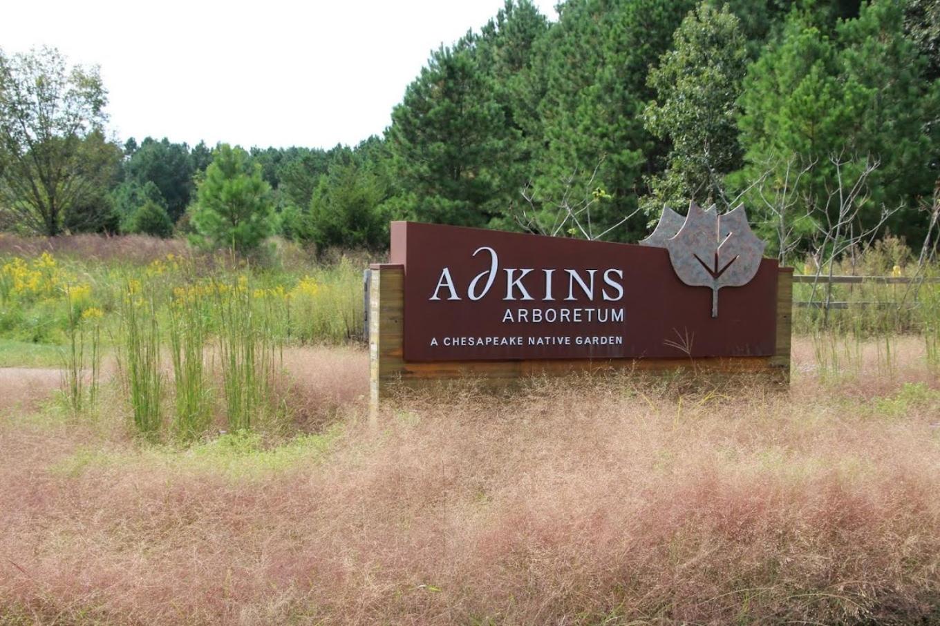 Relaxation Haven near Choptank River - Self Catering