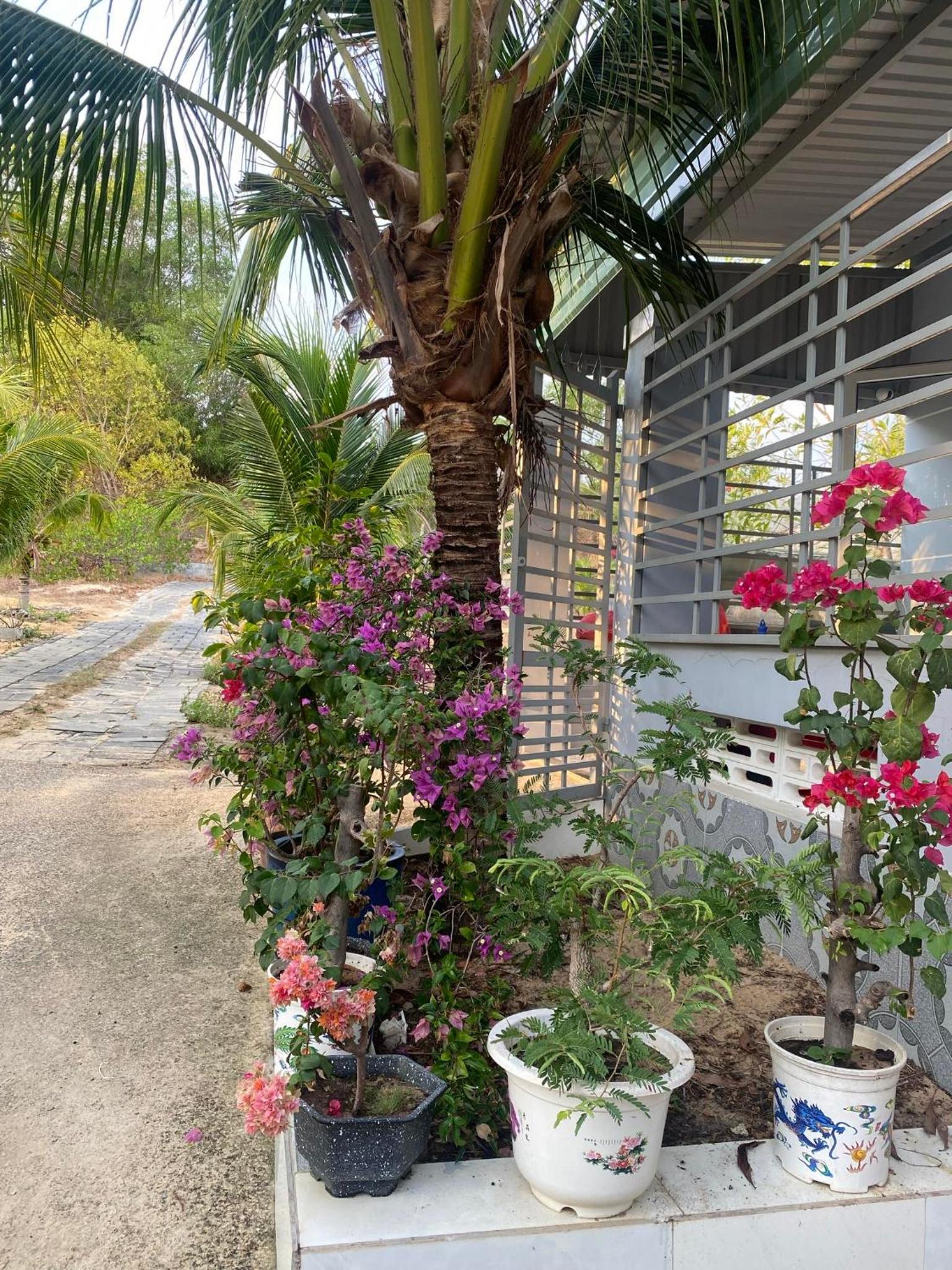 House Mũi Né Phan Thiết KentTown