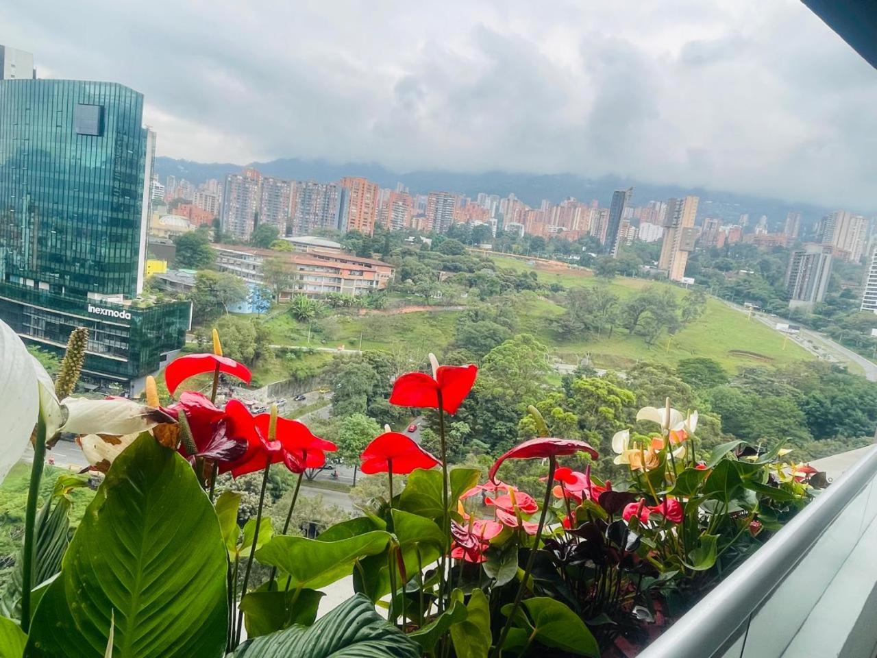 Hermoso apartamento en lo mejor de Medellin.