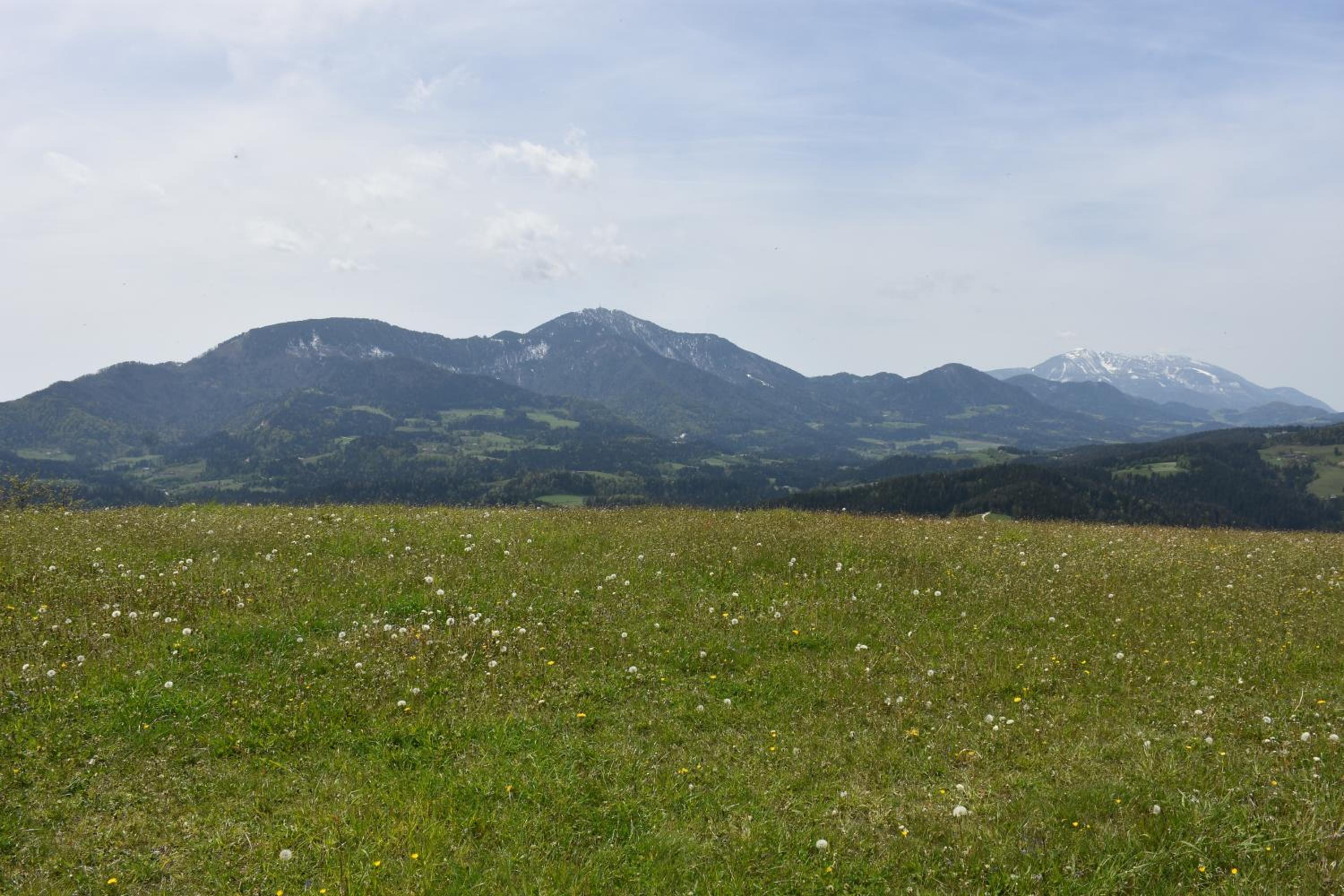 Photo 50