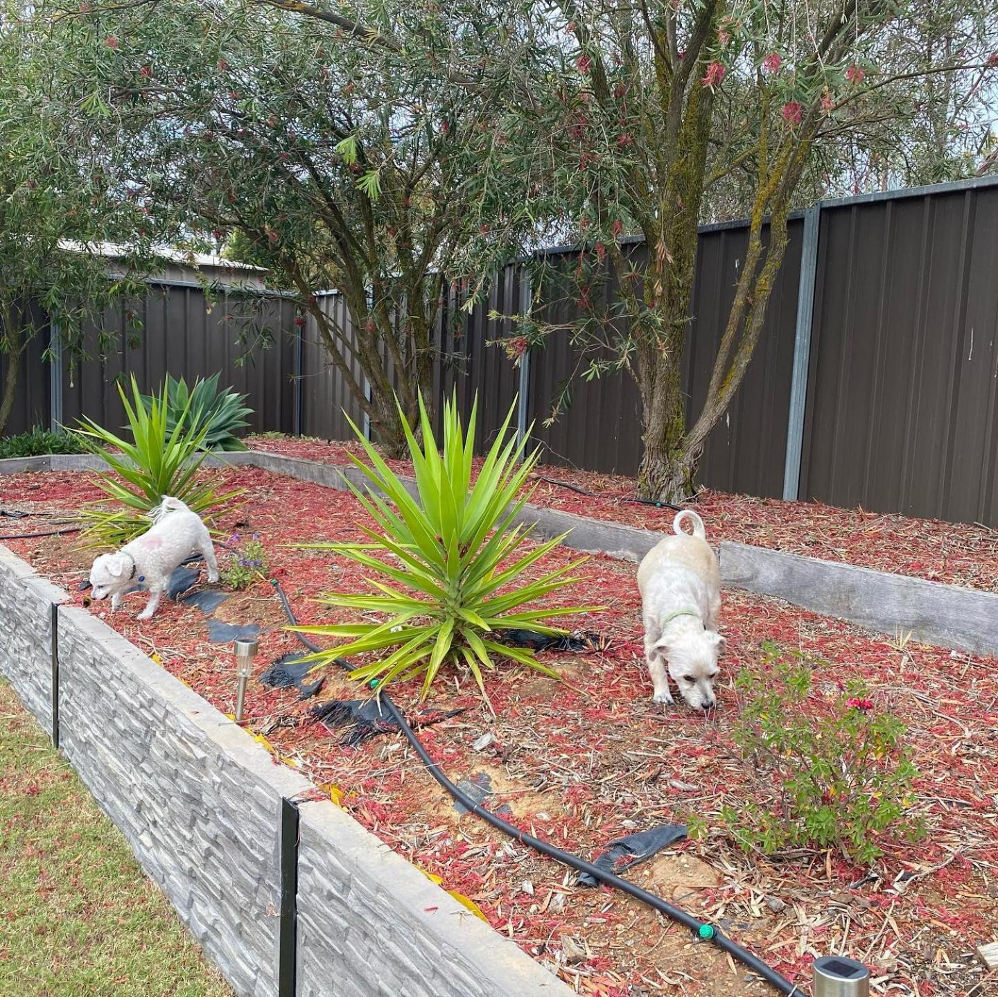 Pelican Retreat - corporate / tradie / family