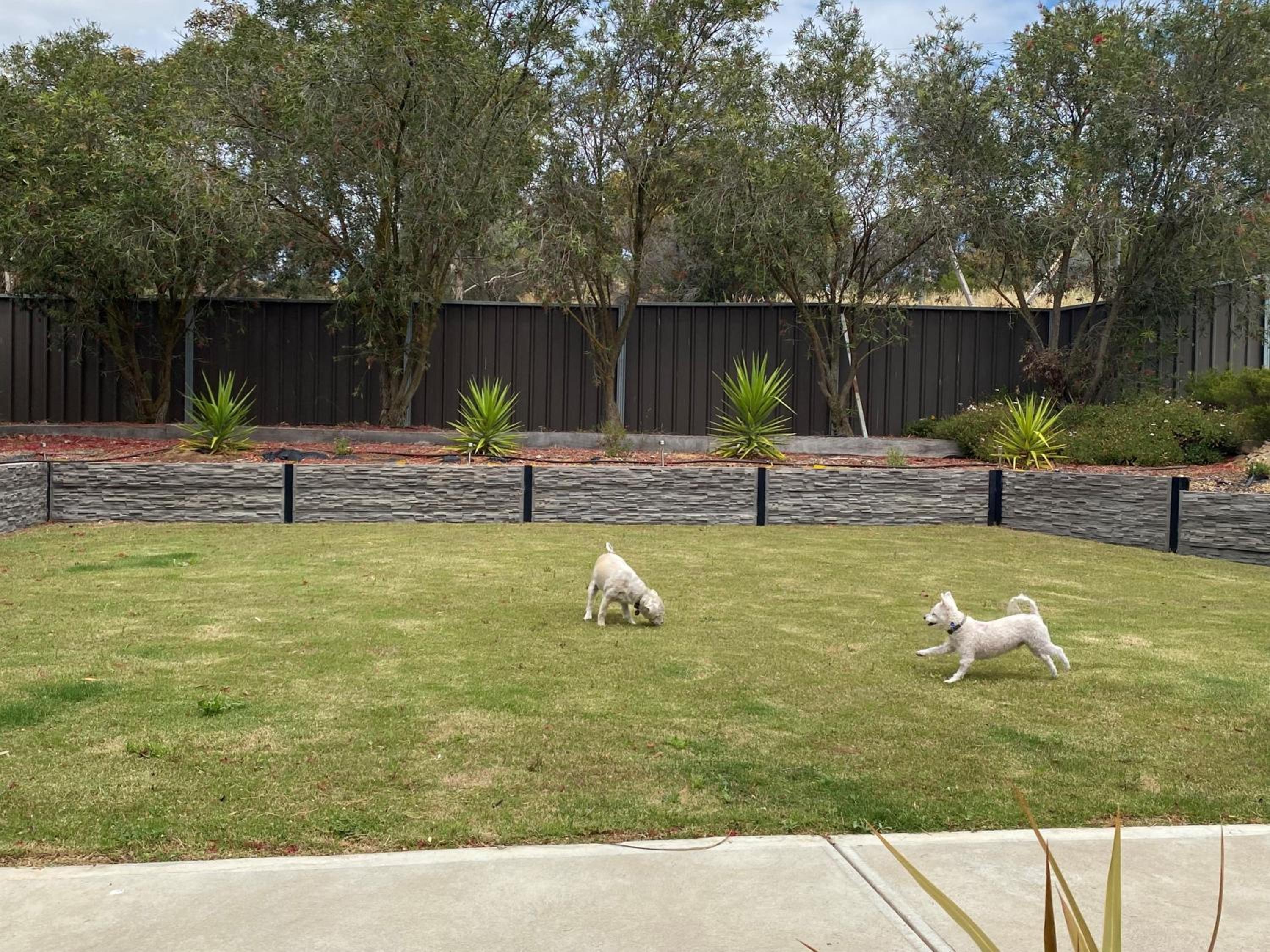 Pelican Retreat - corporate / tradie / family