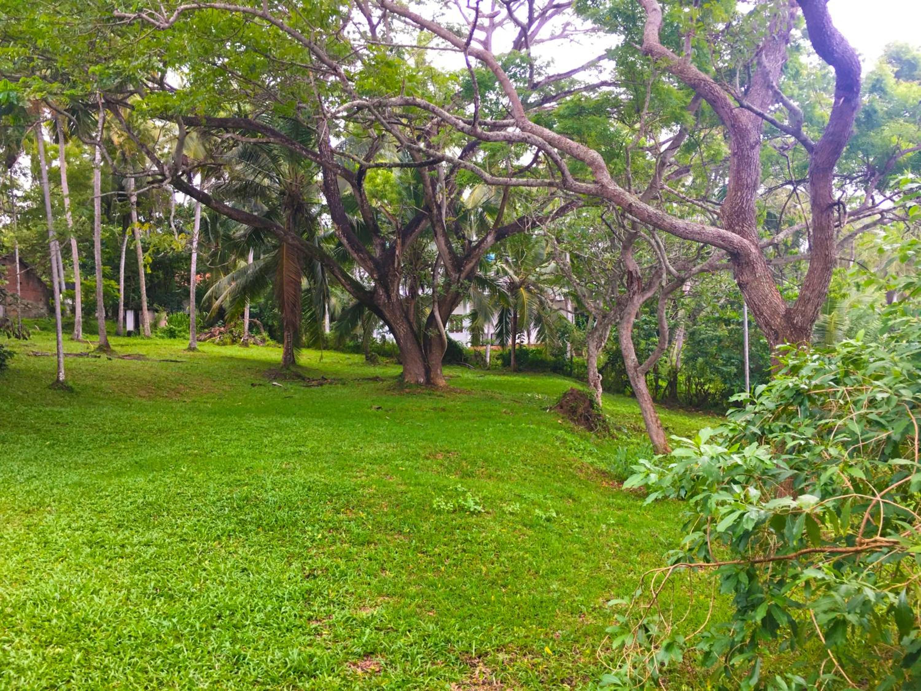 Bluewind Resort