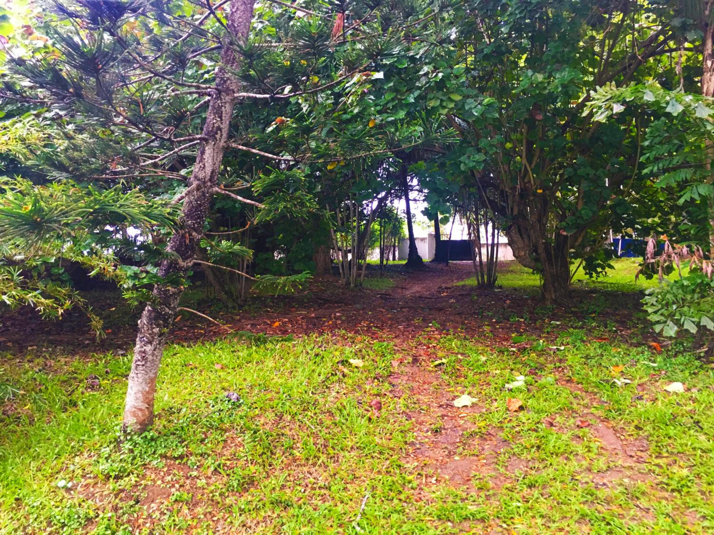 Bluewind Resort