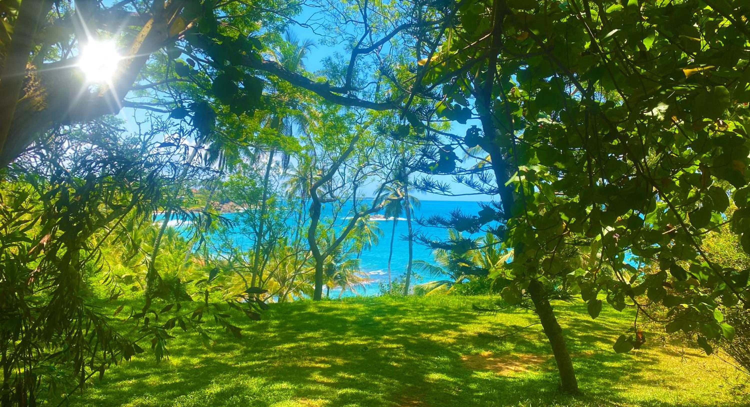 Bluewind Resort