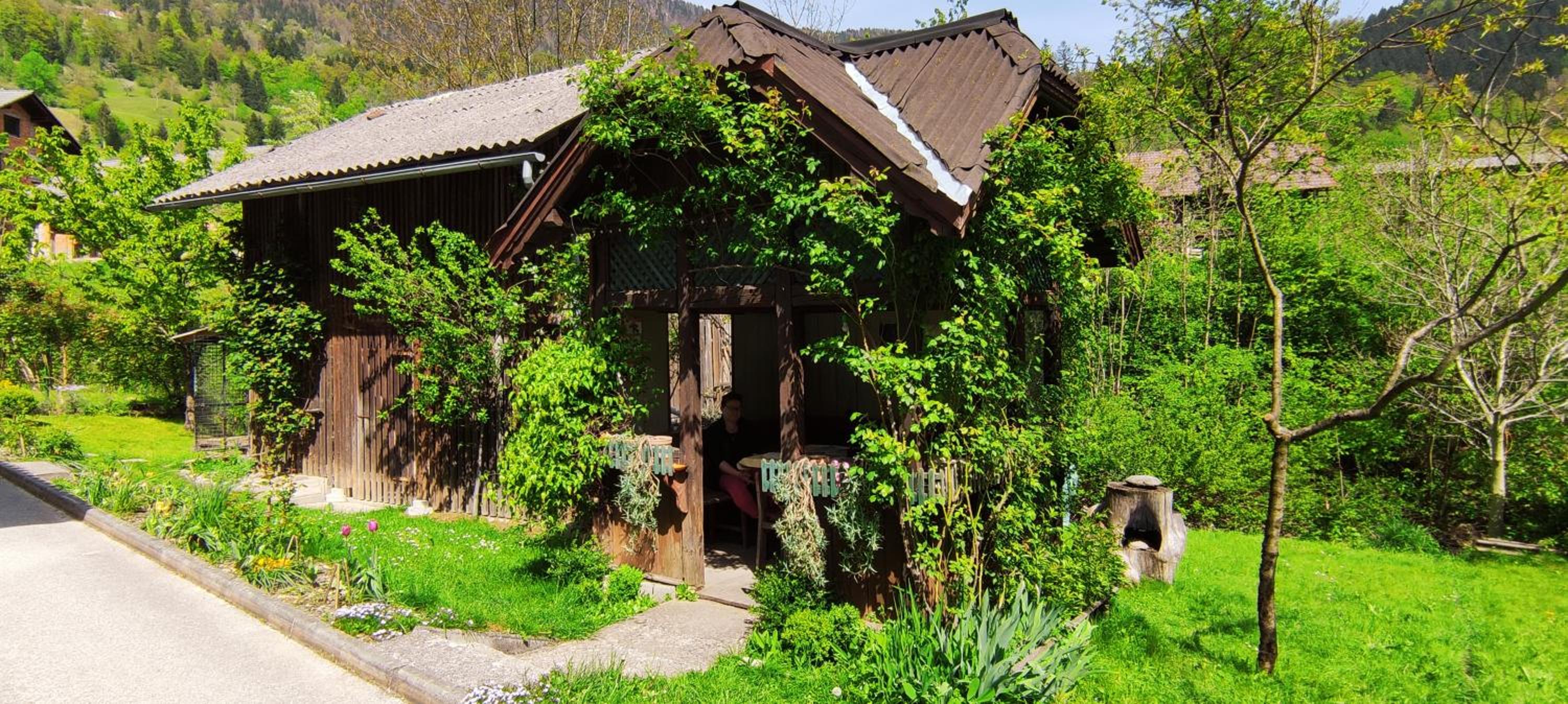 Domačija Markc