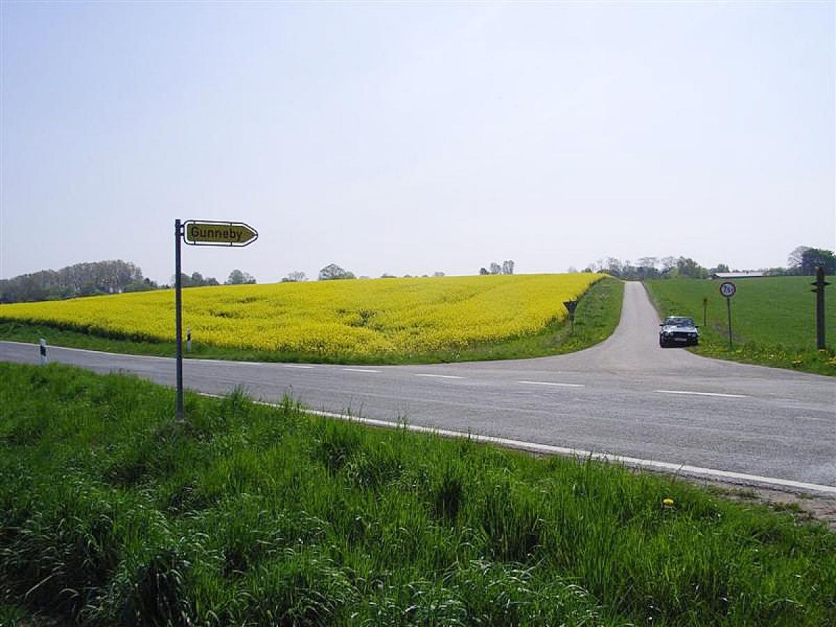 Schleiblick