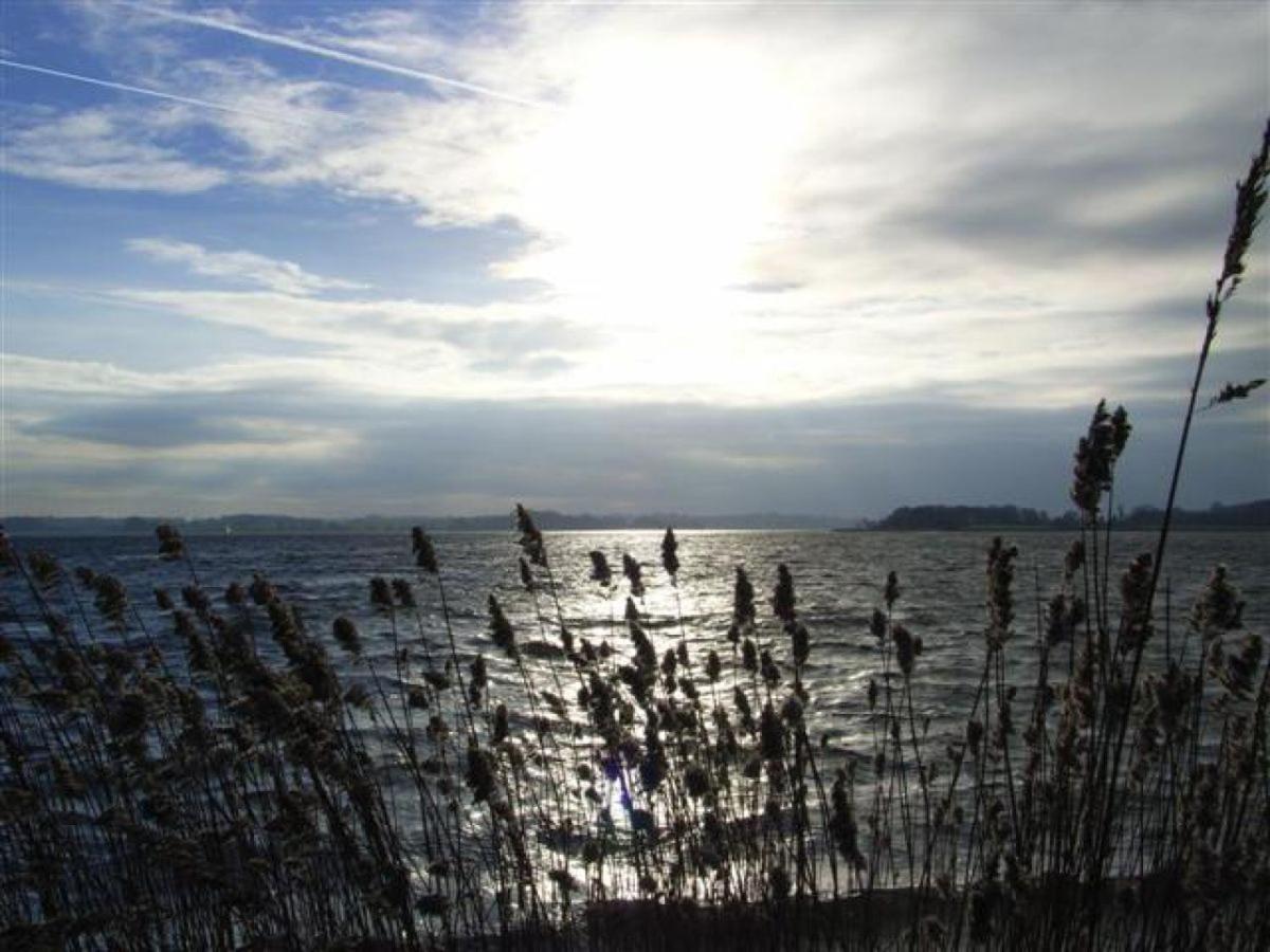 Schleiblick