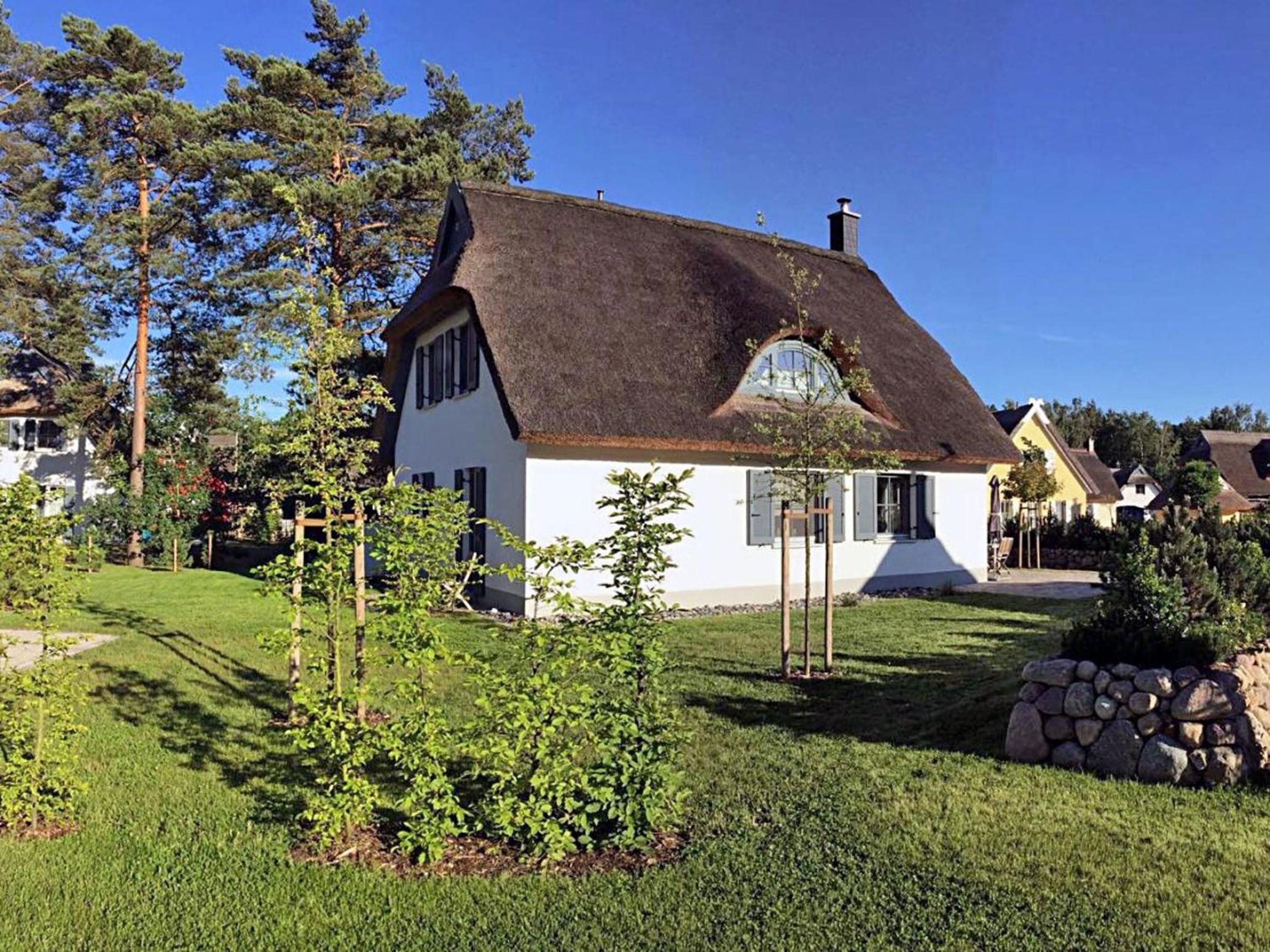 Sterntaucher