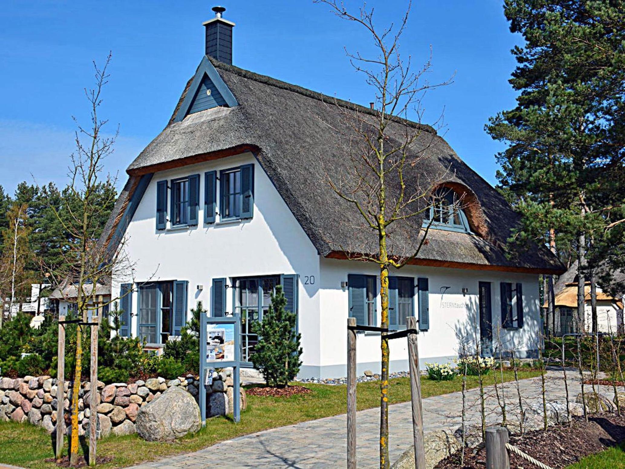 Sterntaucher
