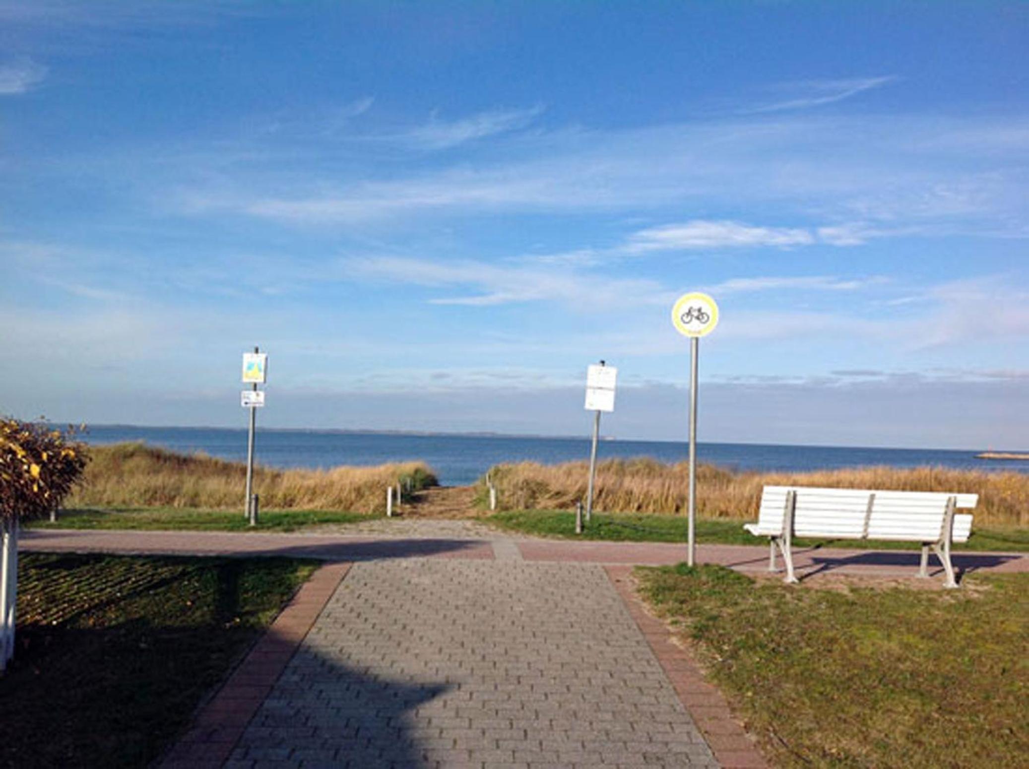Stranddistel
