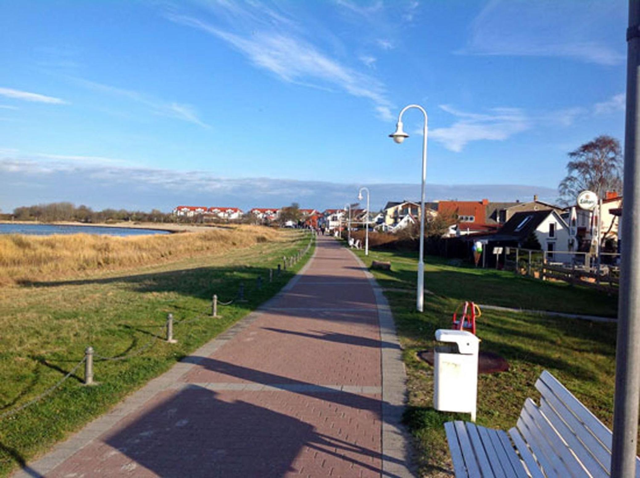 Stranddistel