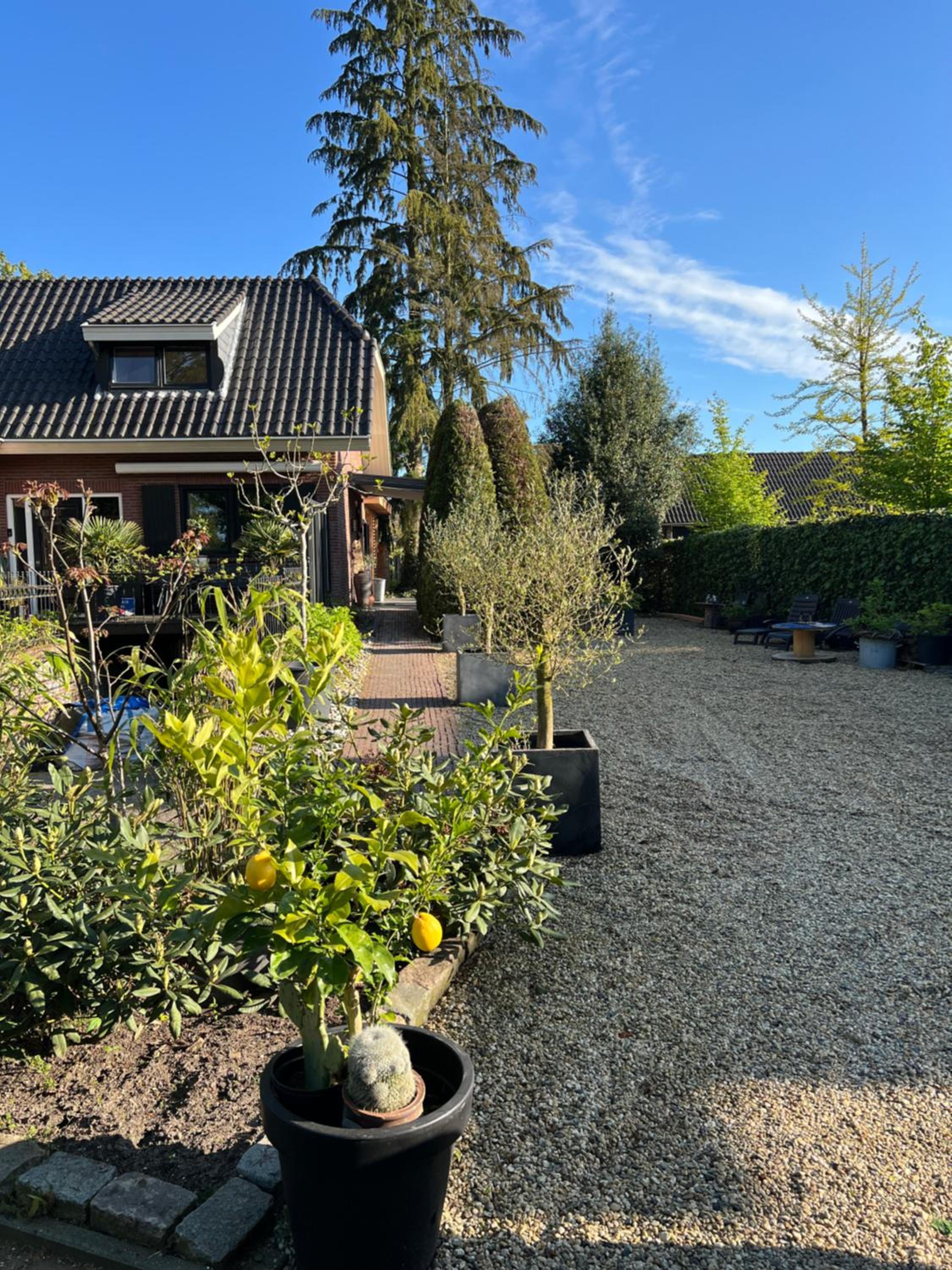 Photo 21