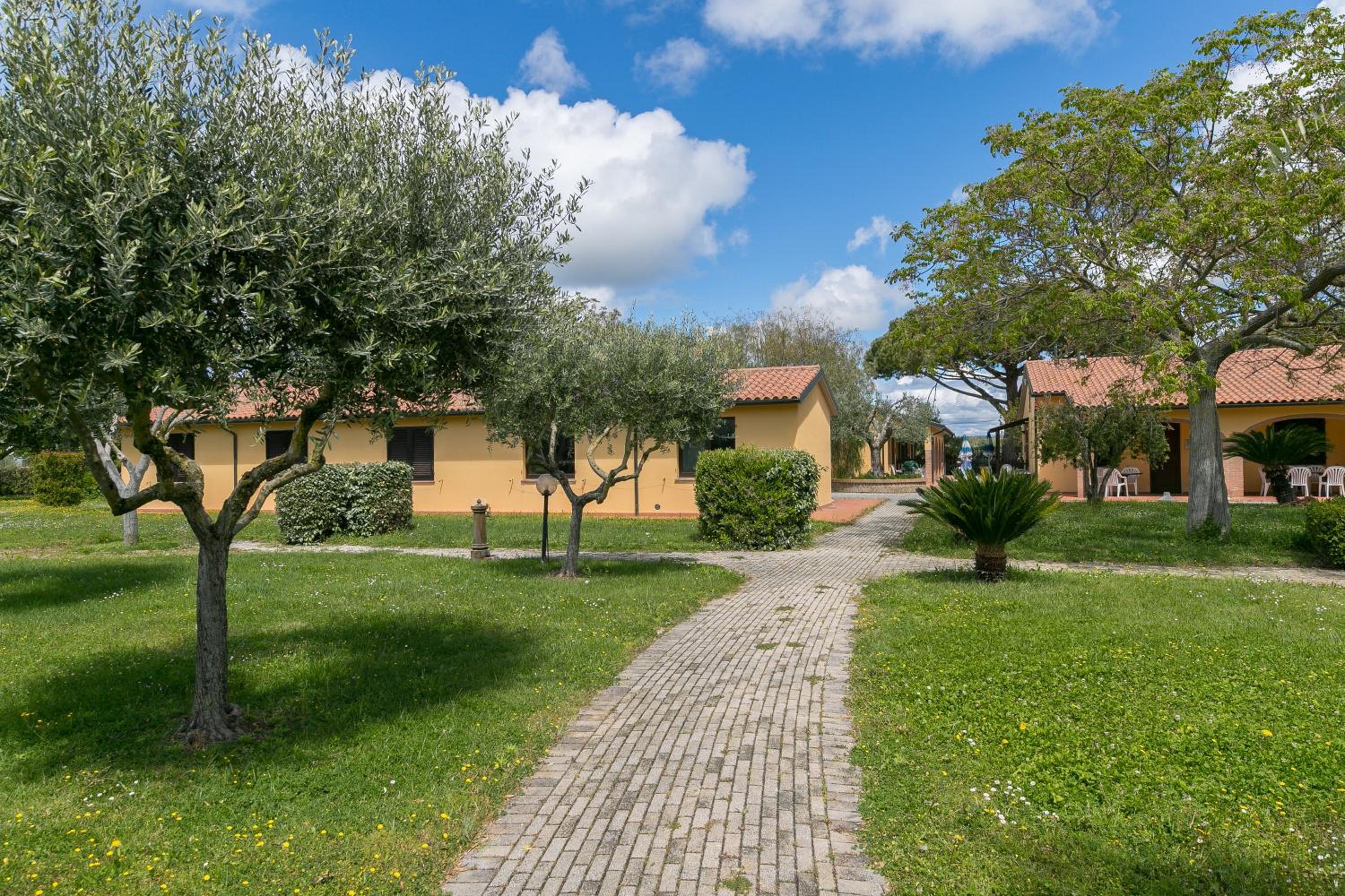 Il Girasole - Grano view 5