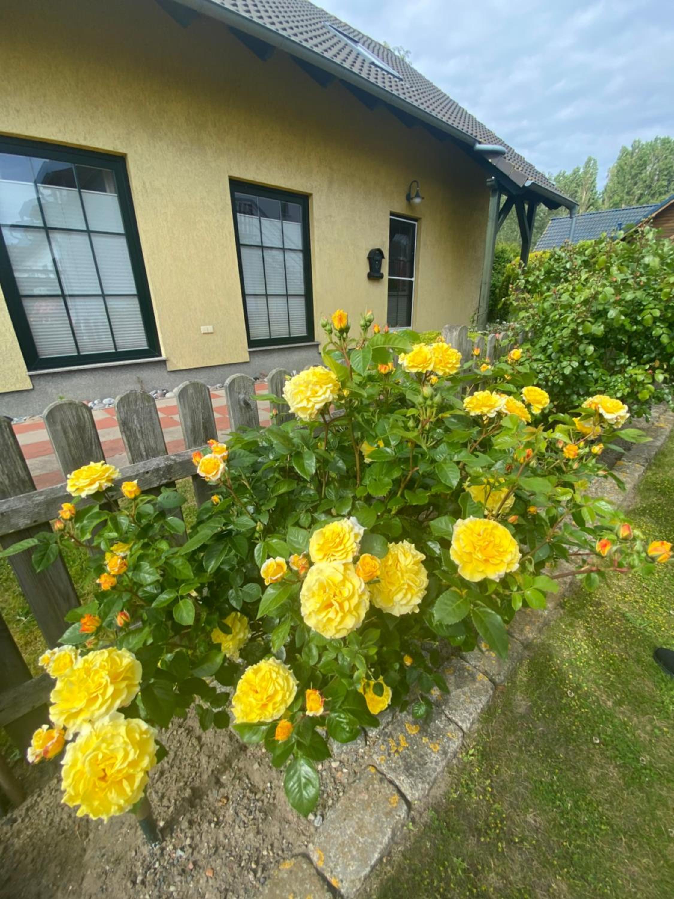 Strandhaus Altglowe - Perfekt für 8 Gäste! #FerienhausAltglowe #Monteurhaus#Handwerkerhaus#