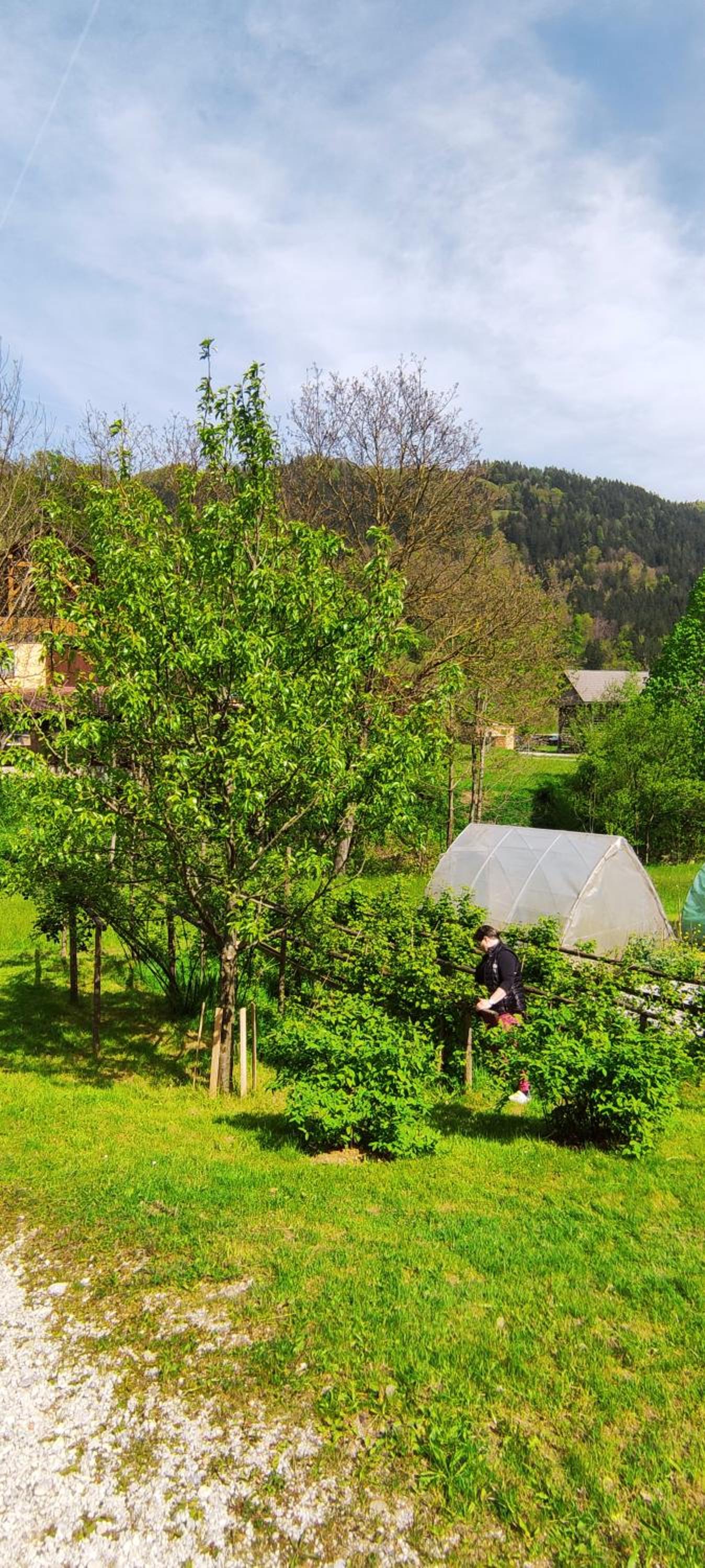Domačija Markc