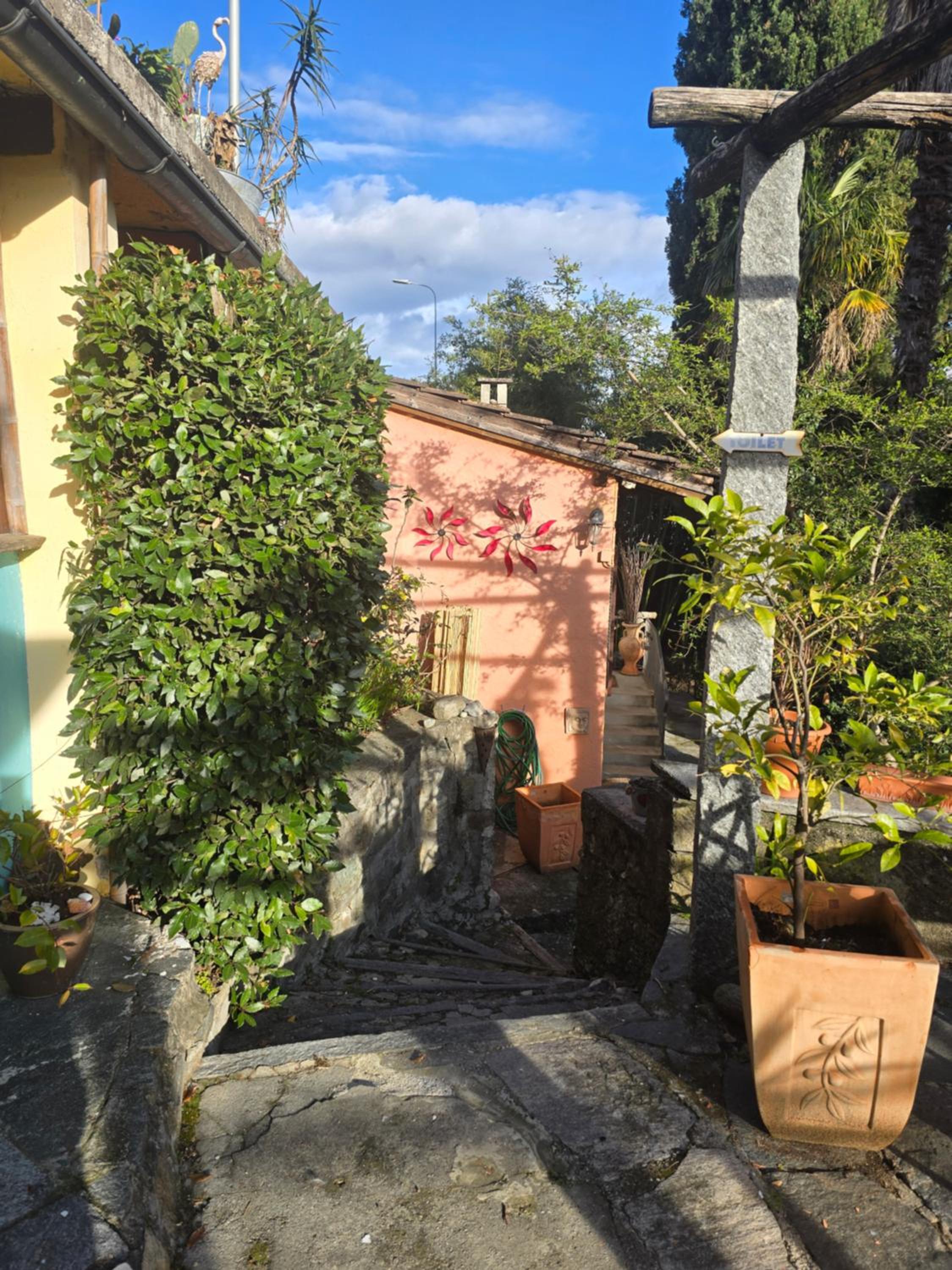 Photo 31