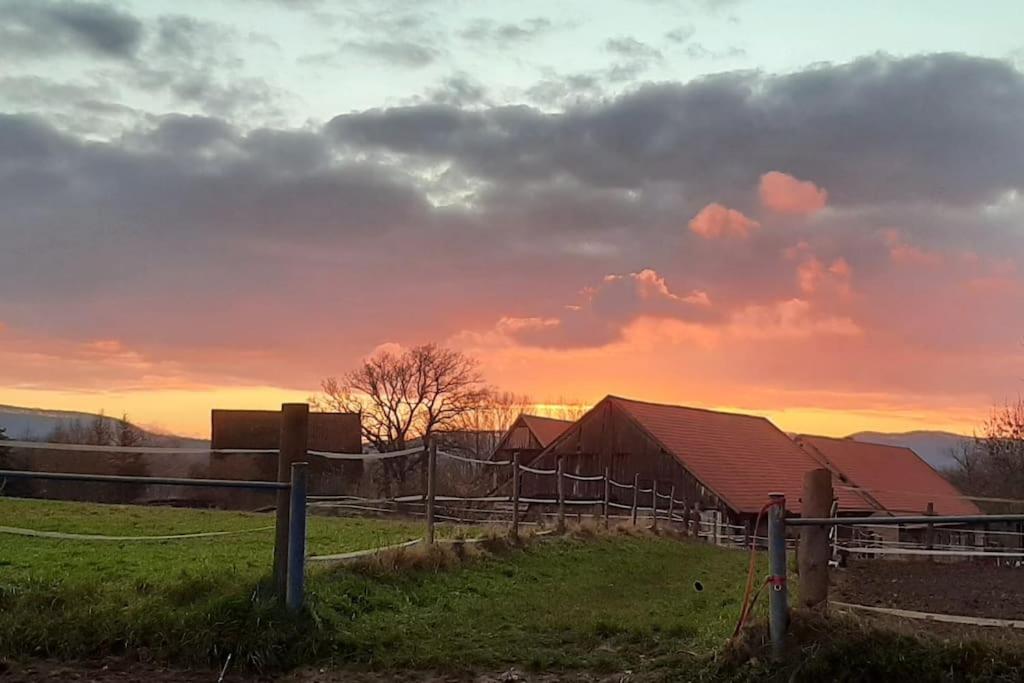 other