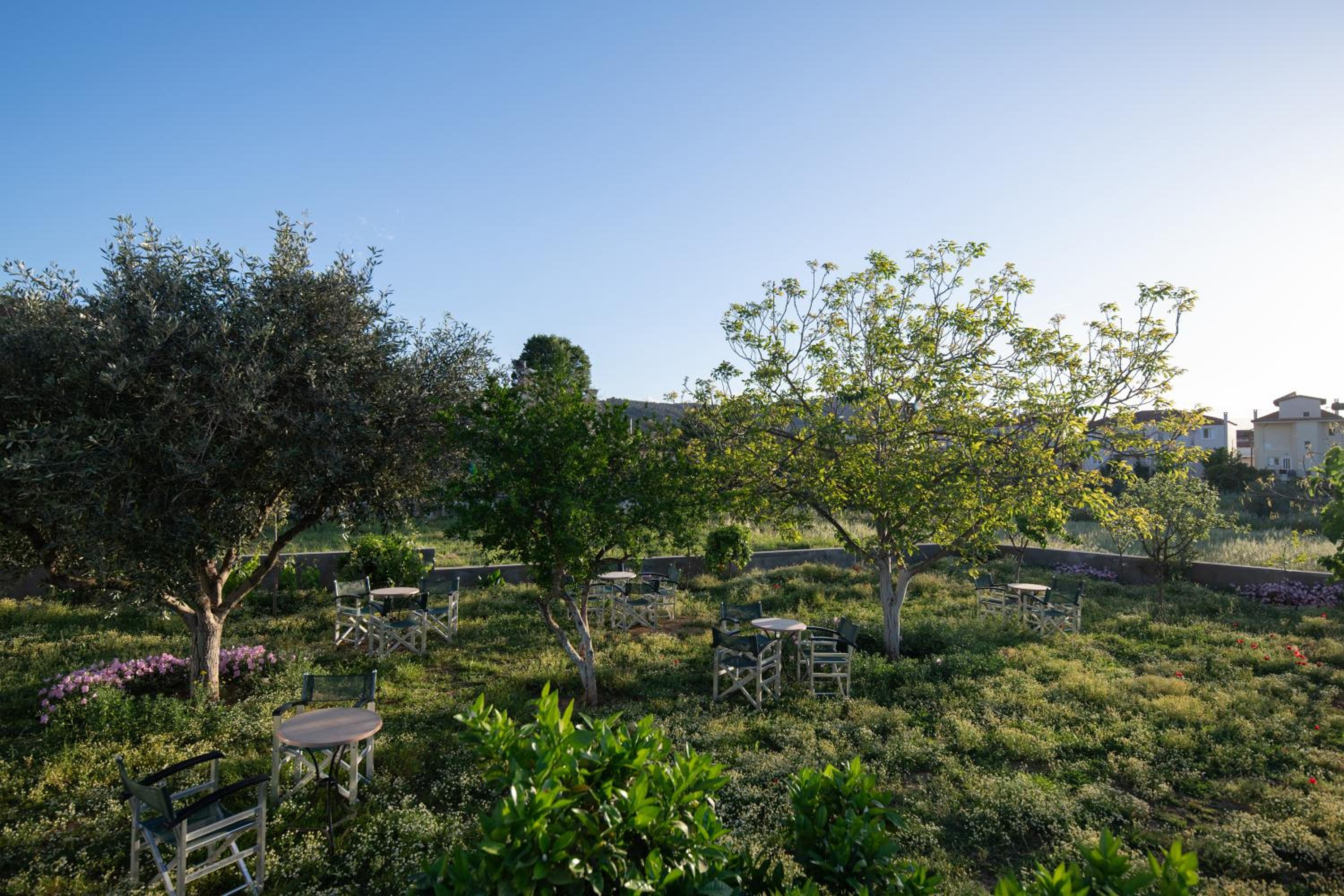 ENARIA, photo 23