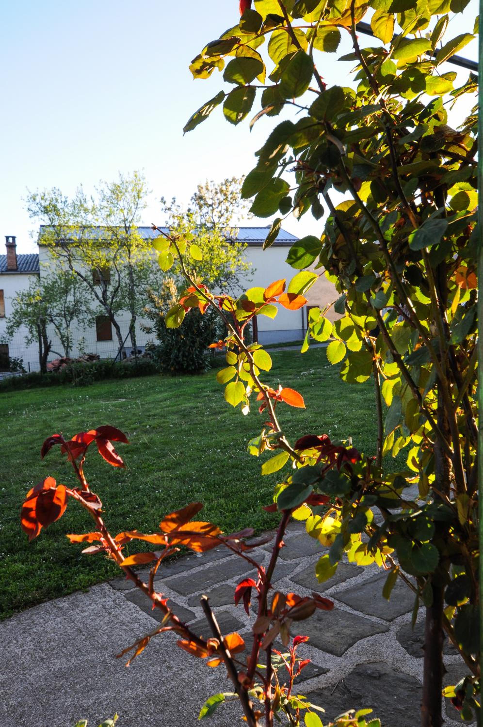 Photo 27