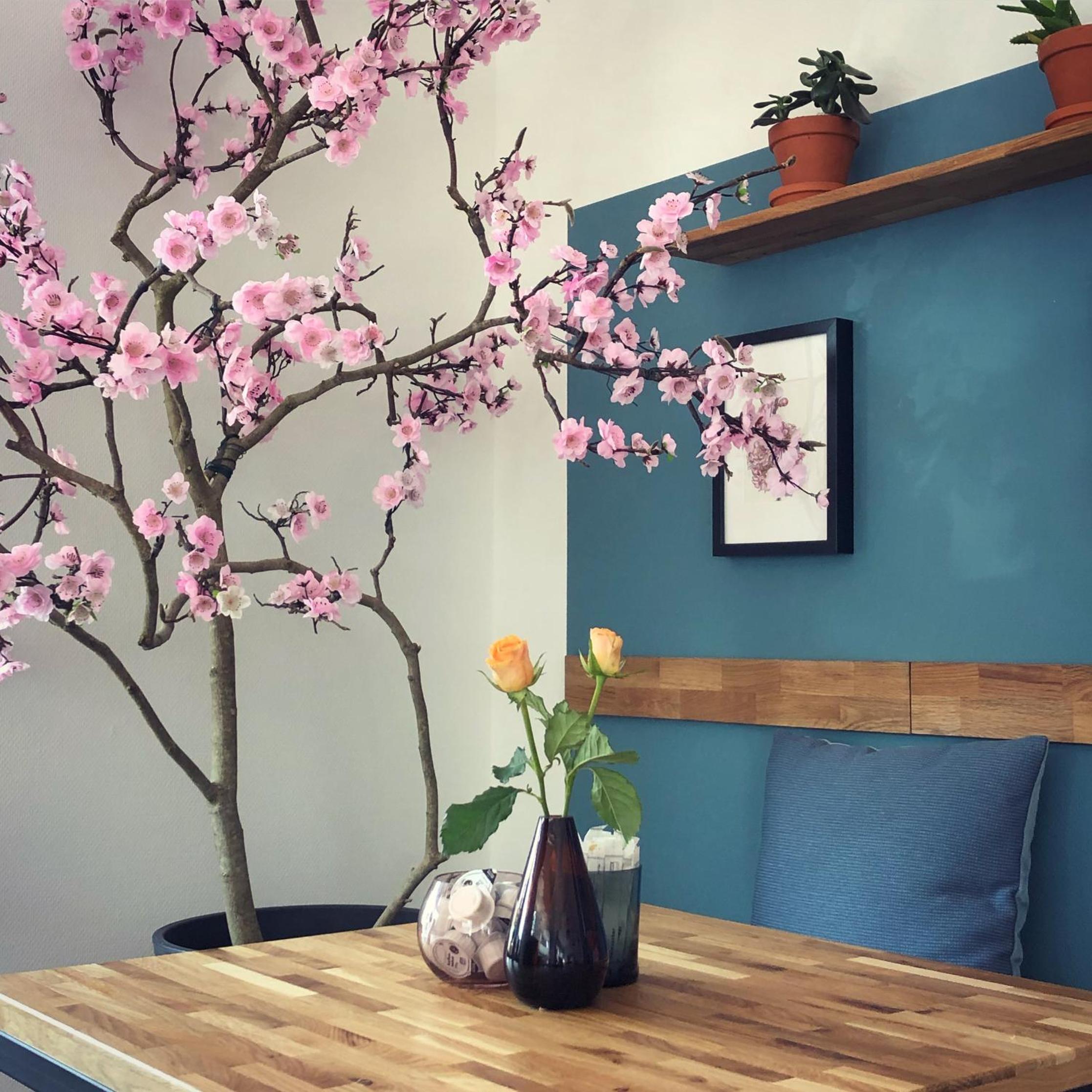 Apartment Kirschblüte2