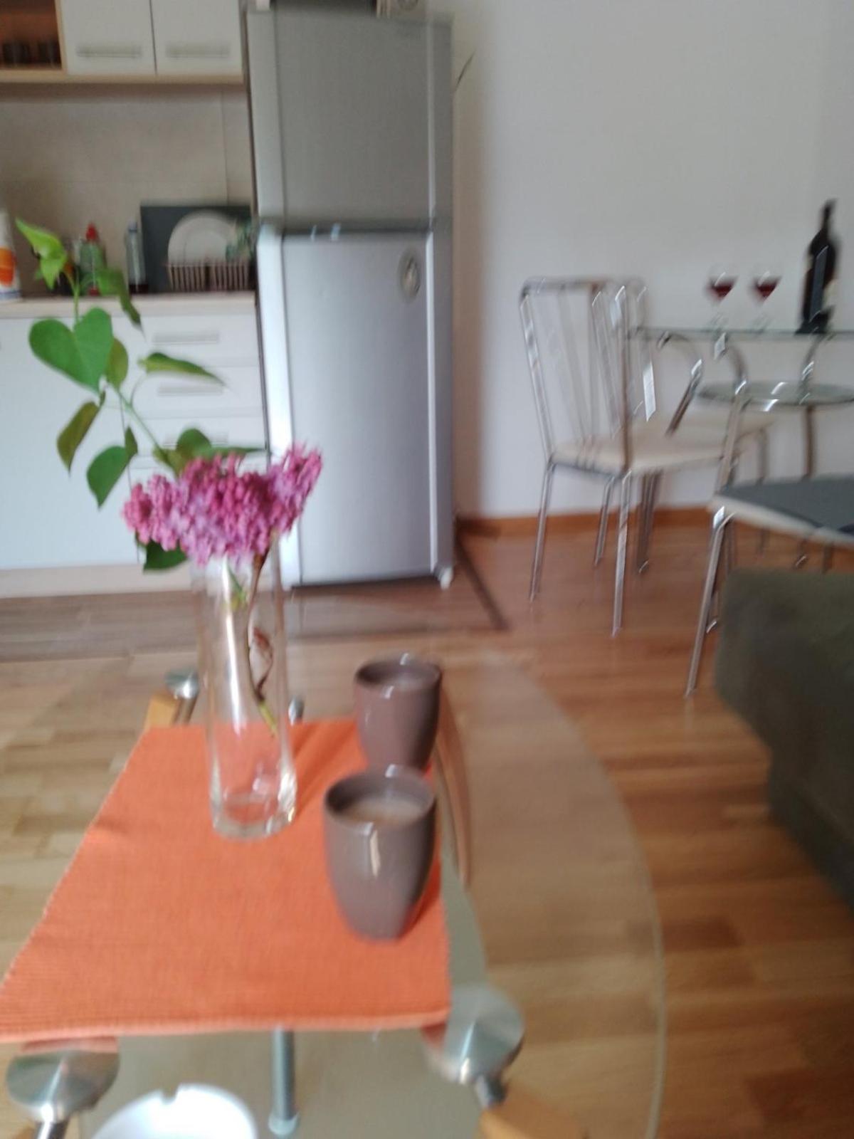 Vesna M view 5
