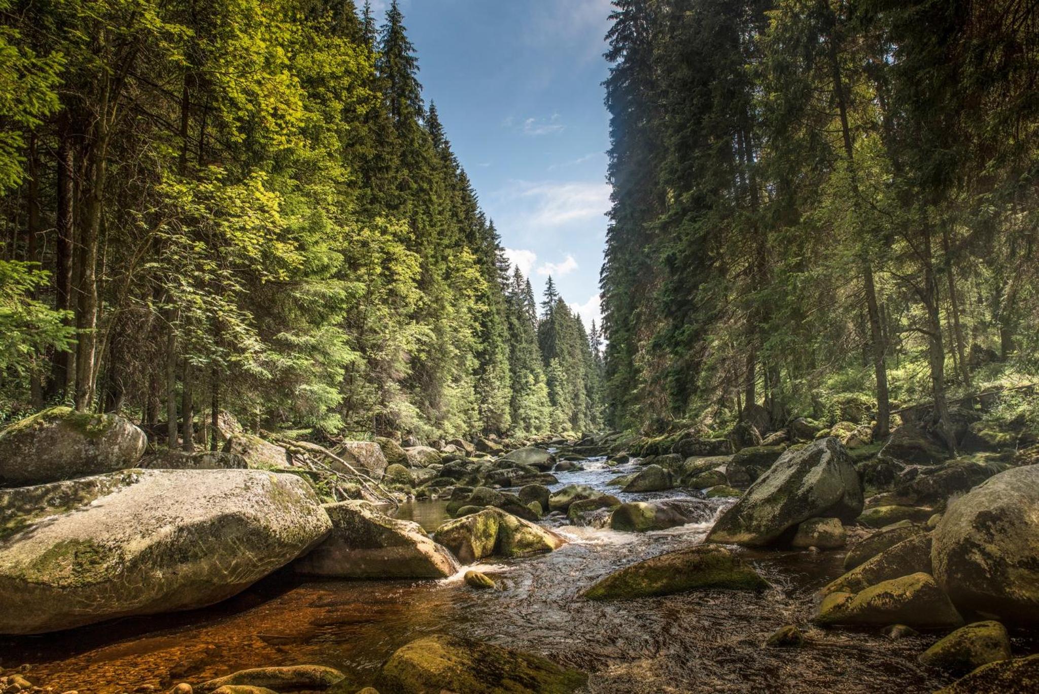Apartmán Kienberg pod Lipenskou hrází
