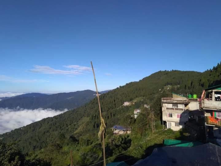 Peak XV Homestay view 2