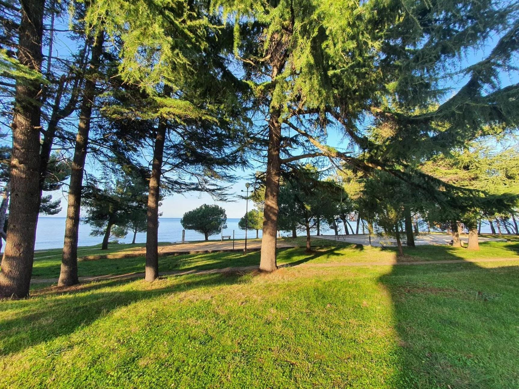 Youth Hostel Pinesta