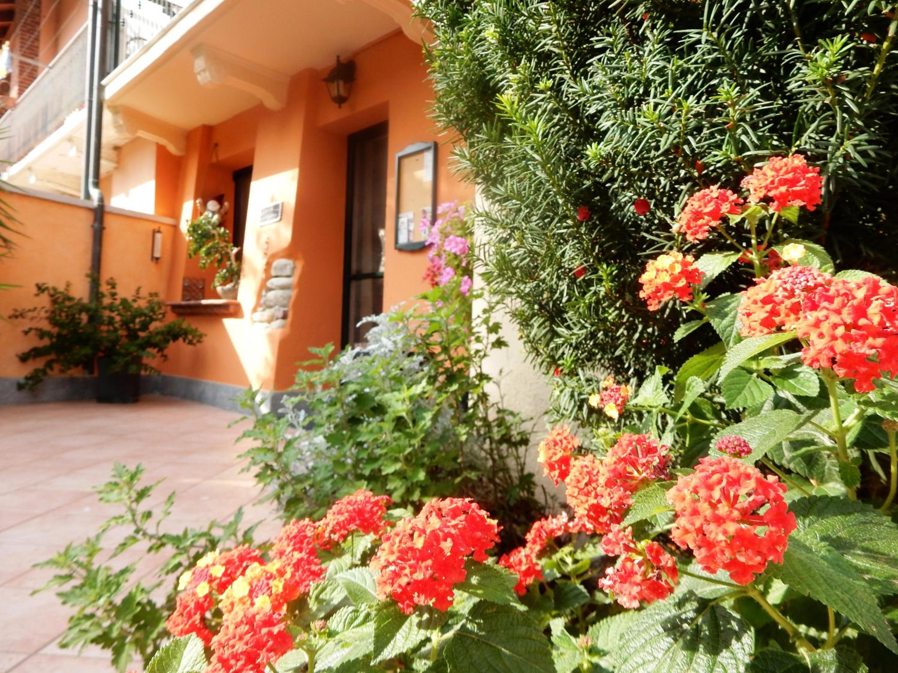 Bed&Breakfast La Siepe view 3