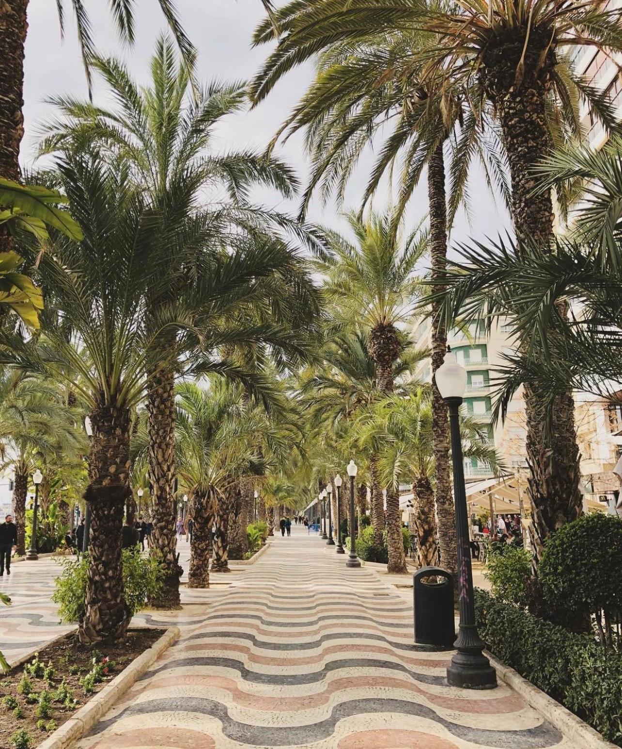 Beach house La Marina