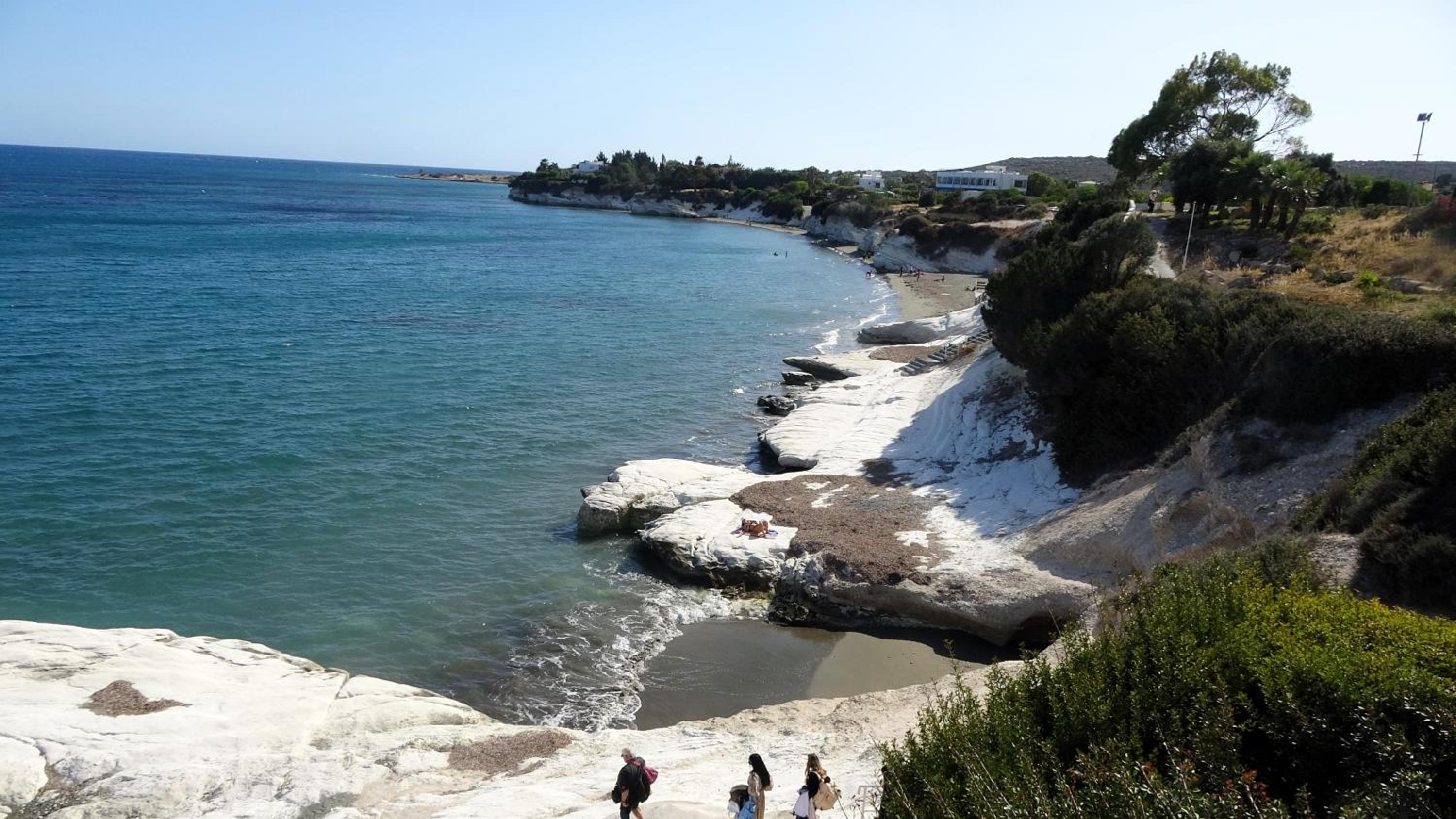 Antonakis 501