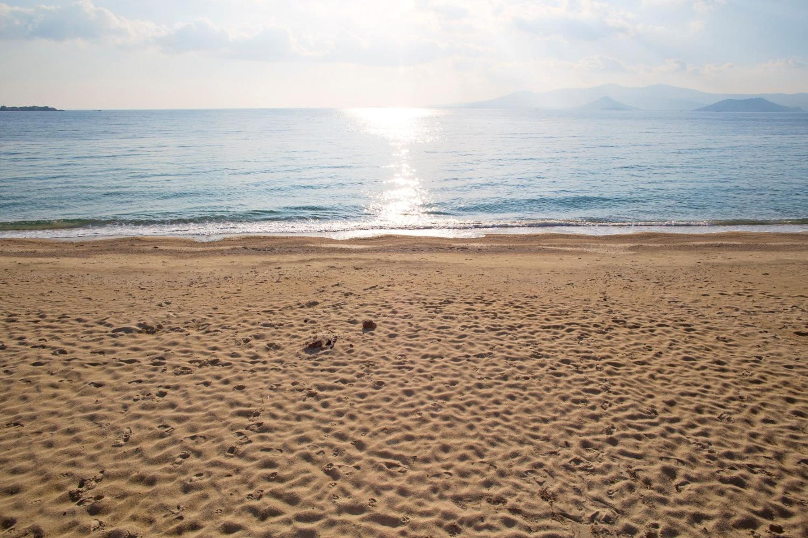 Marine Dream photo 4