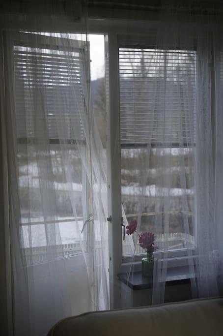 Photo 38