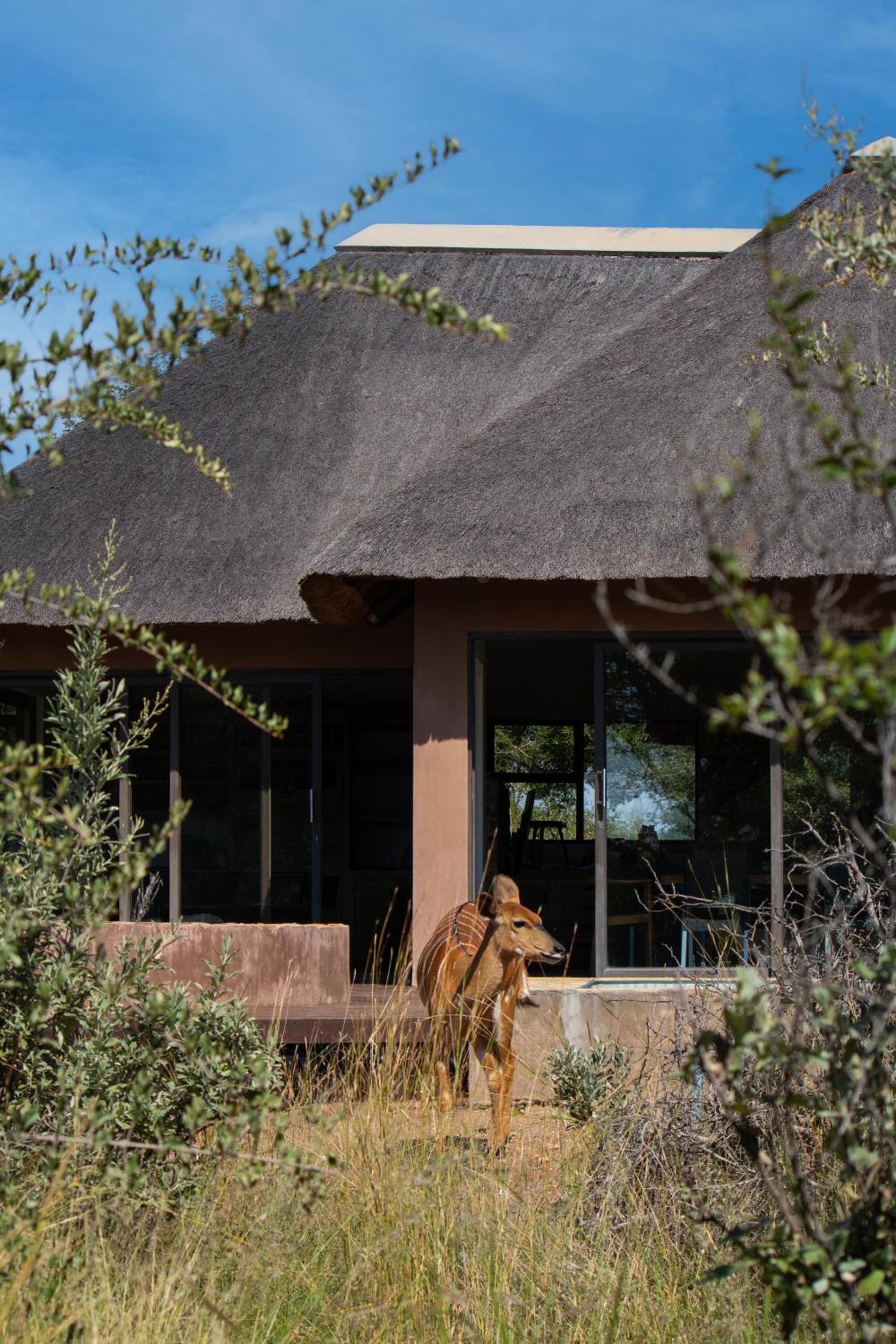 Kudu Lodge