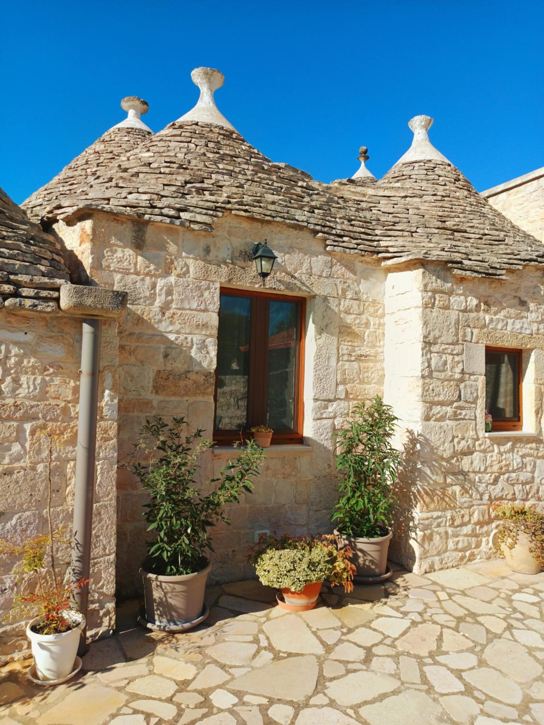 B&B La Rosa dei Trulli Alberobello