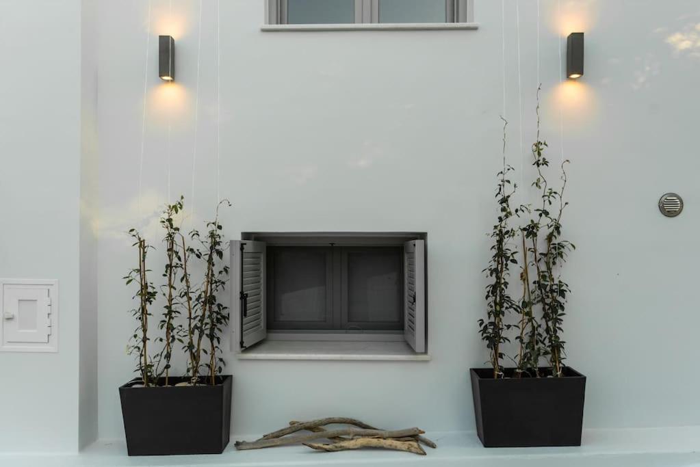 Hippocampus Home