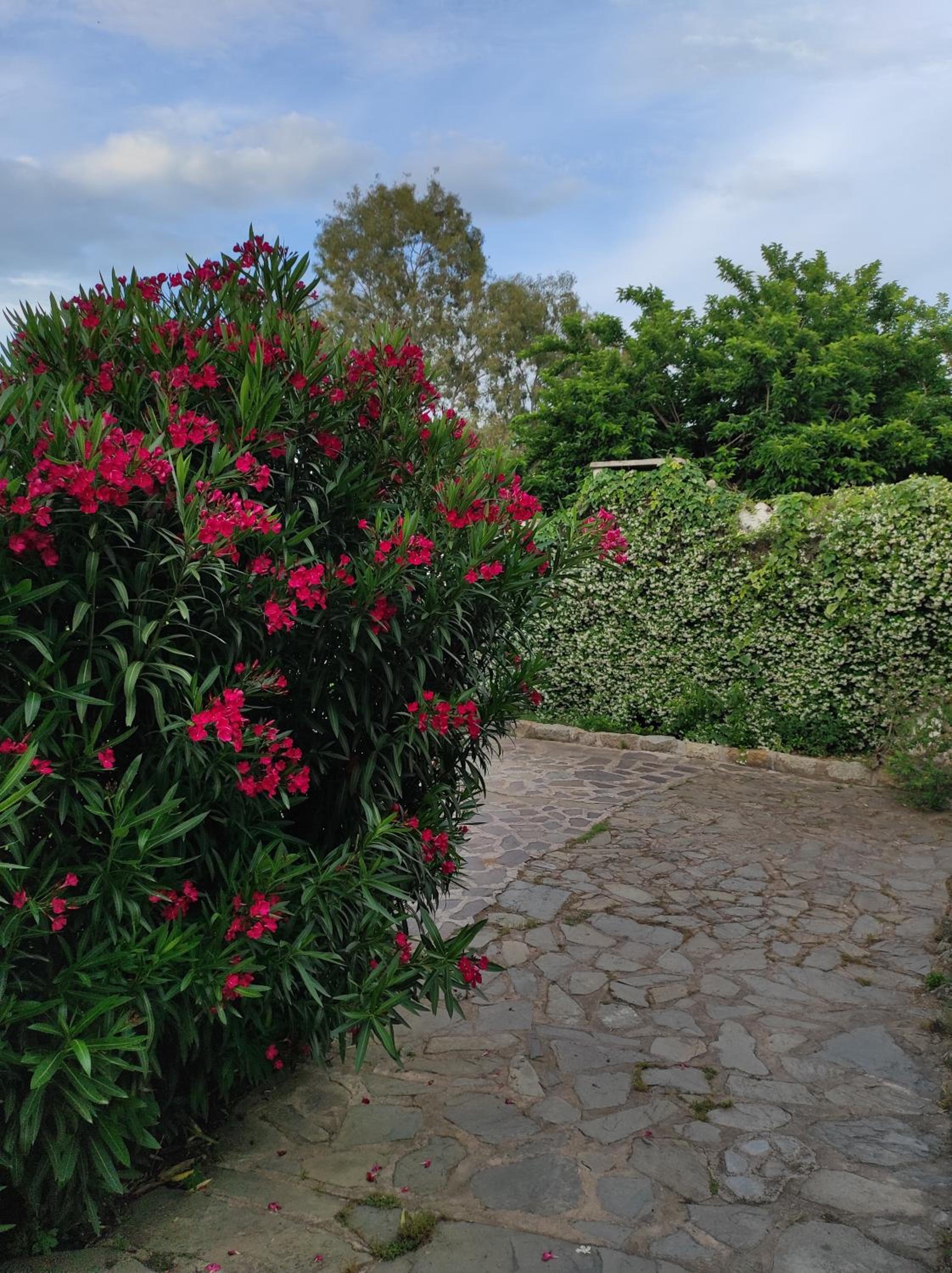 Agriturismo Asara