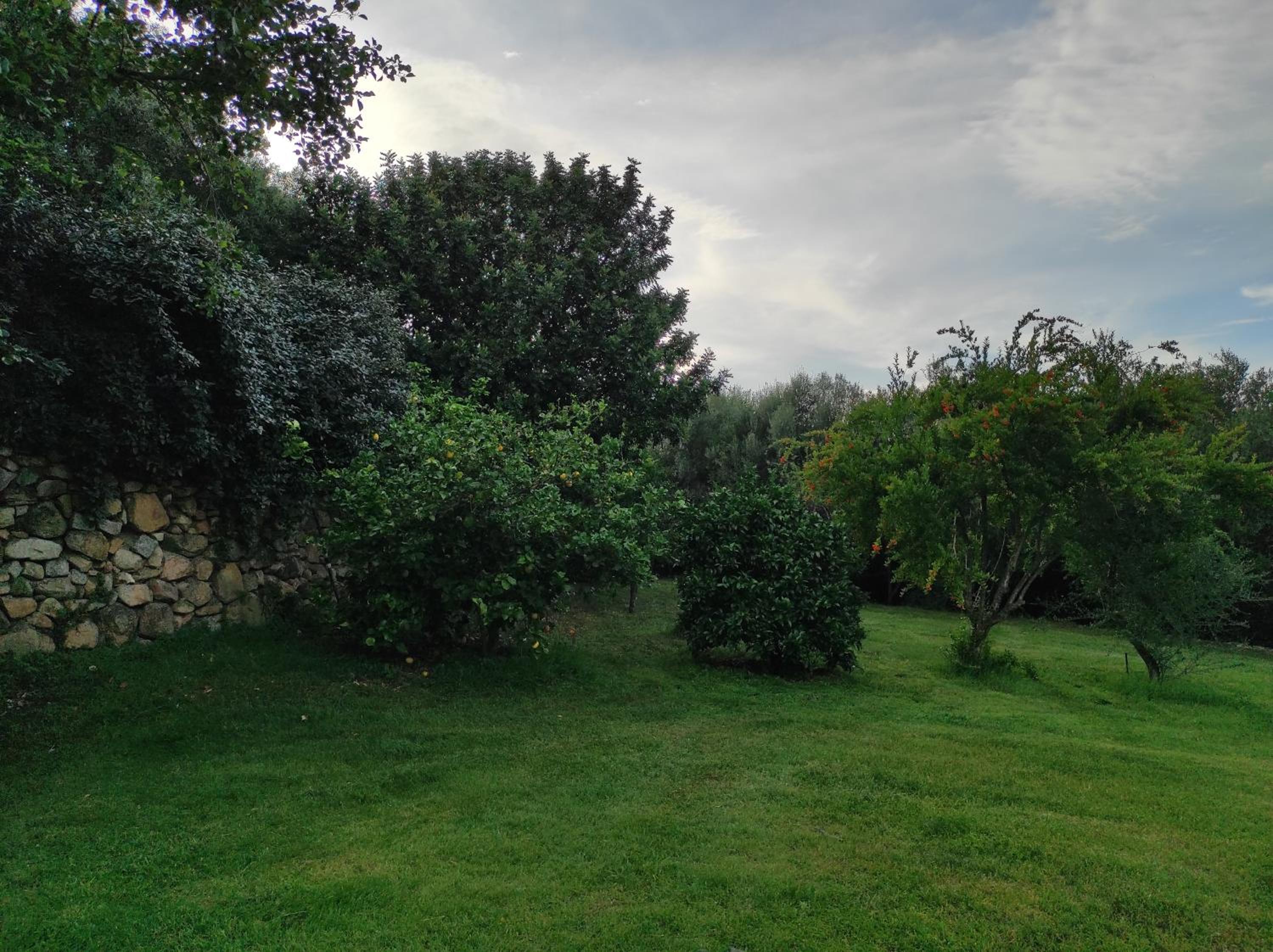 Agriturismo Asara