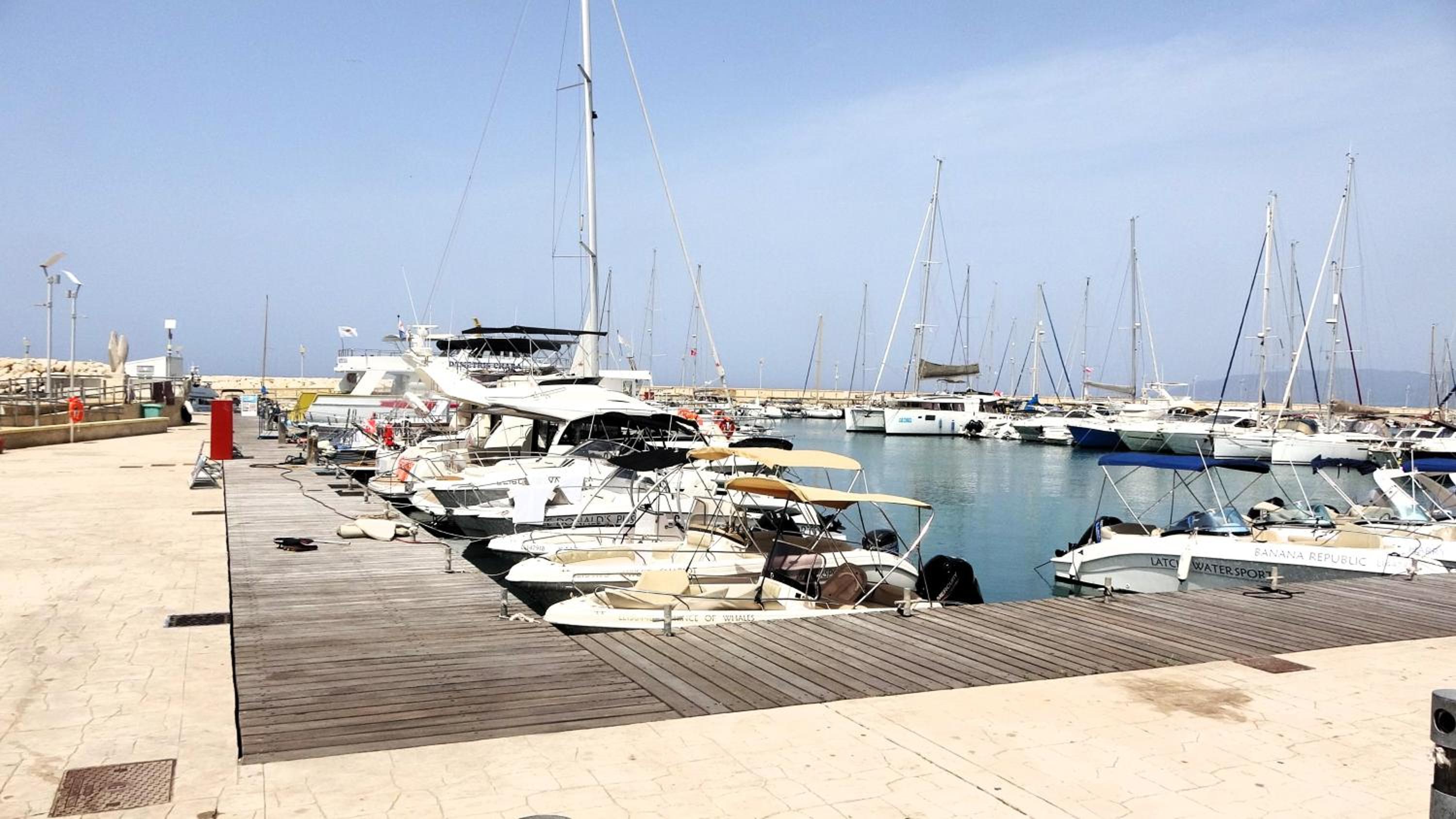 Antonakis 501